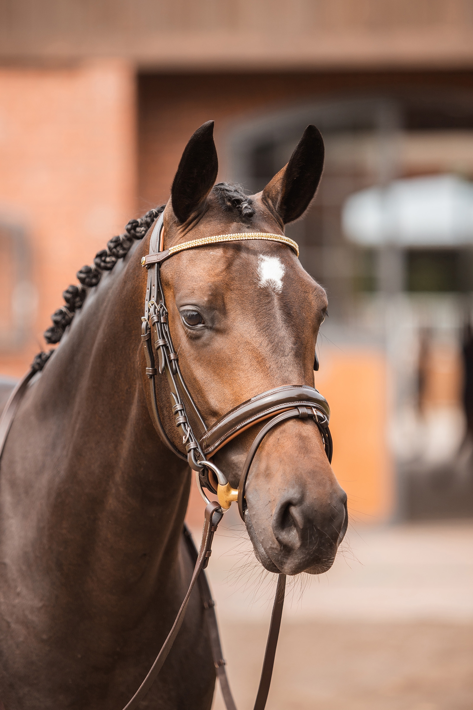 Horze Nancy Crystal and Wire Brow Band