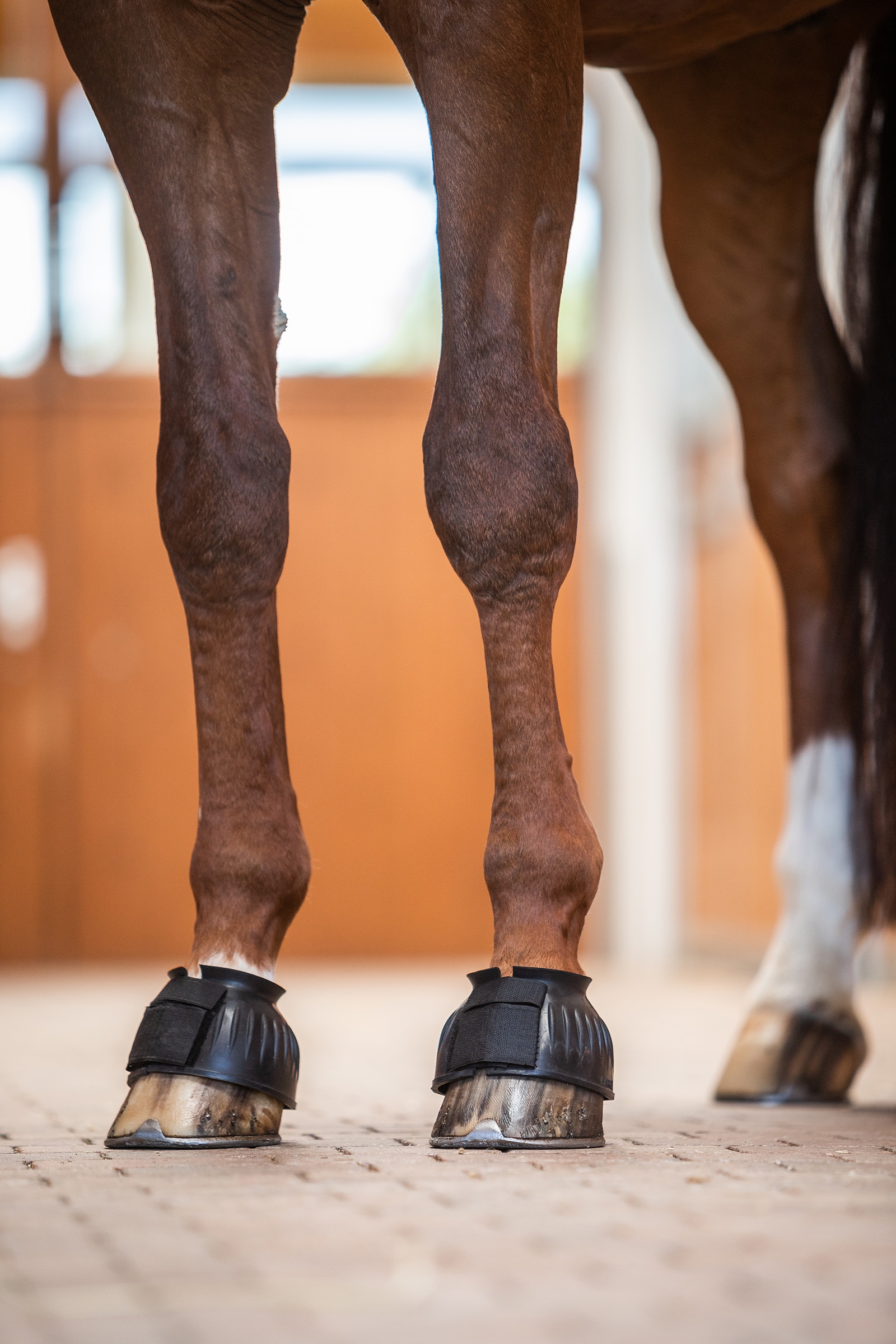 Horze Anti-Twist Lock-On Bell Boots