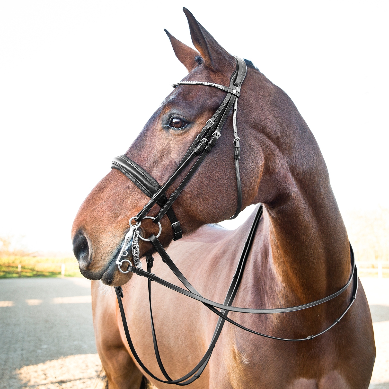 Horze Vienna Anatomic Weymouth Bridle