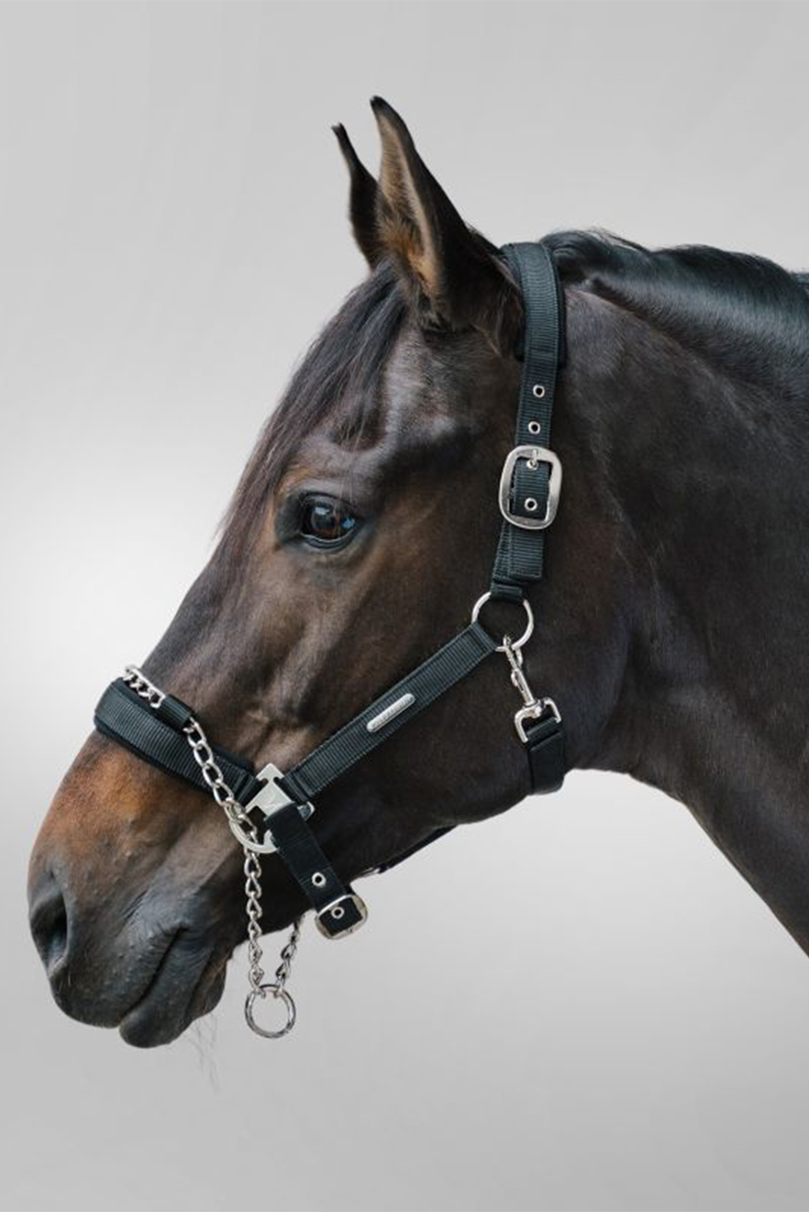 Waldhausen Pro Safety halter