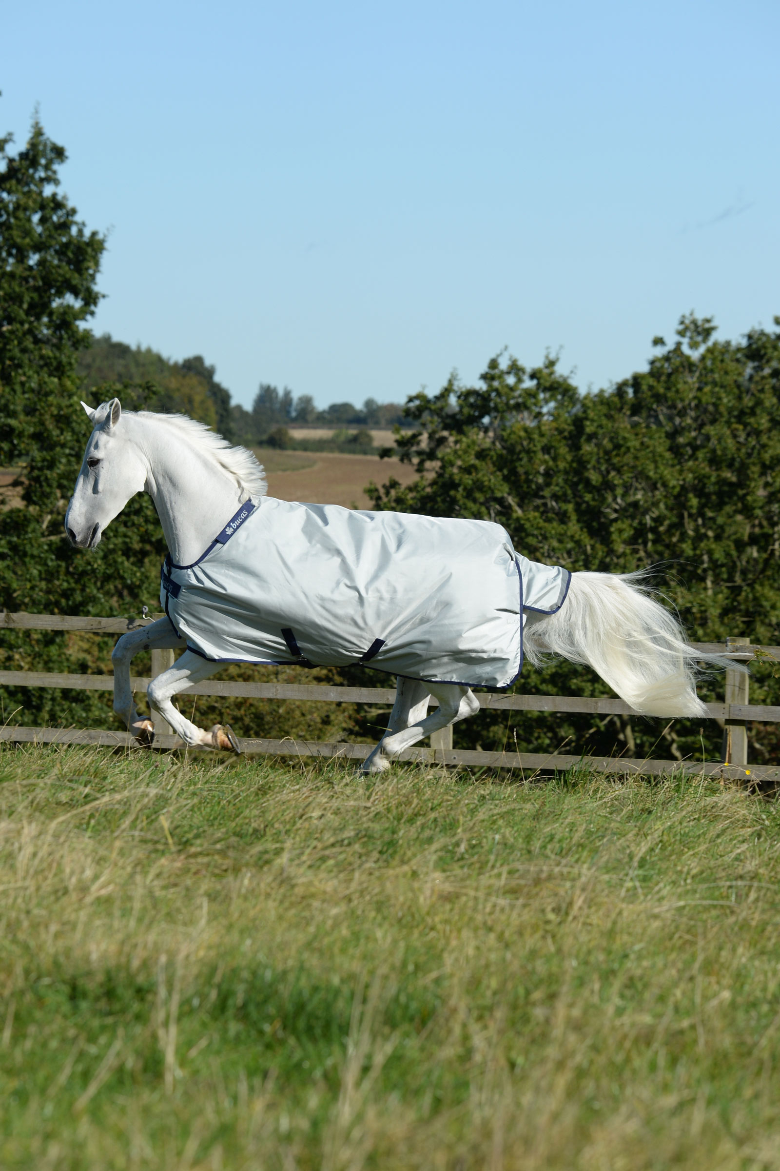 Bucas Power Turnout Rug with Big Neck, 0g