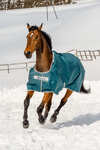 Bucas Atlantic Turnout Rug, 200g