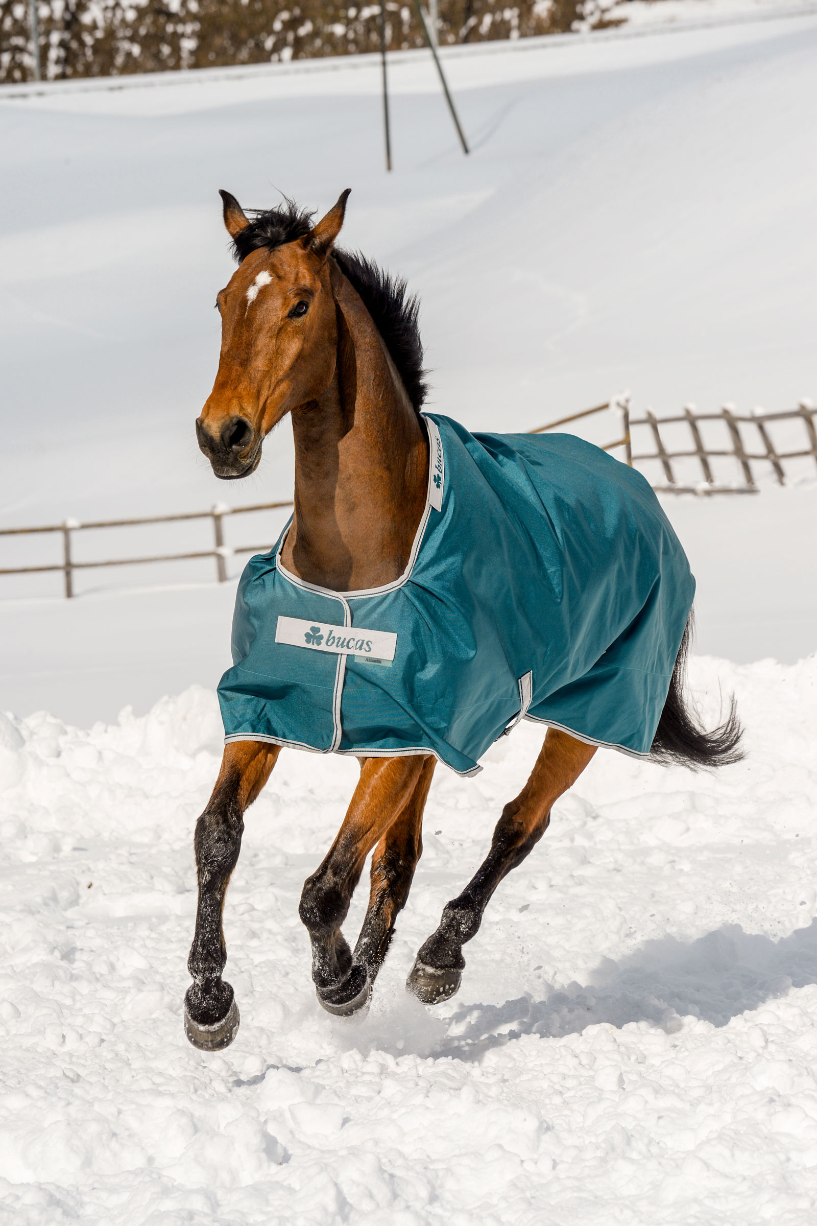 Bucas Atlantic Turnout Rug, 200g