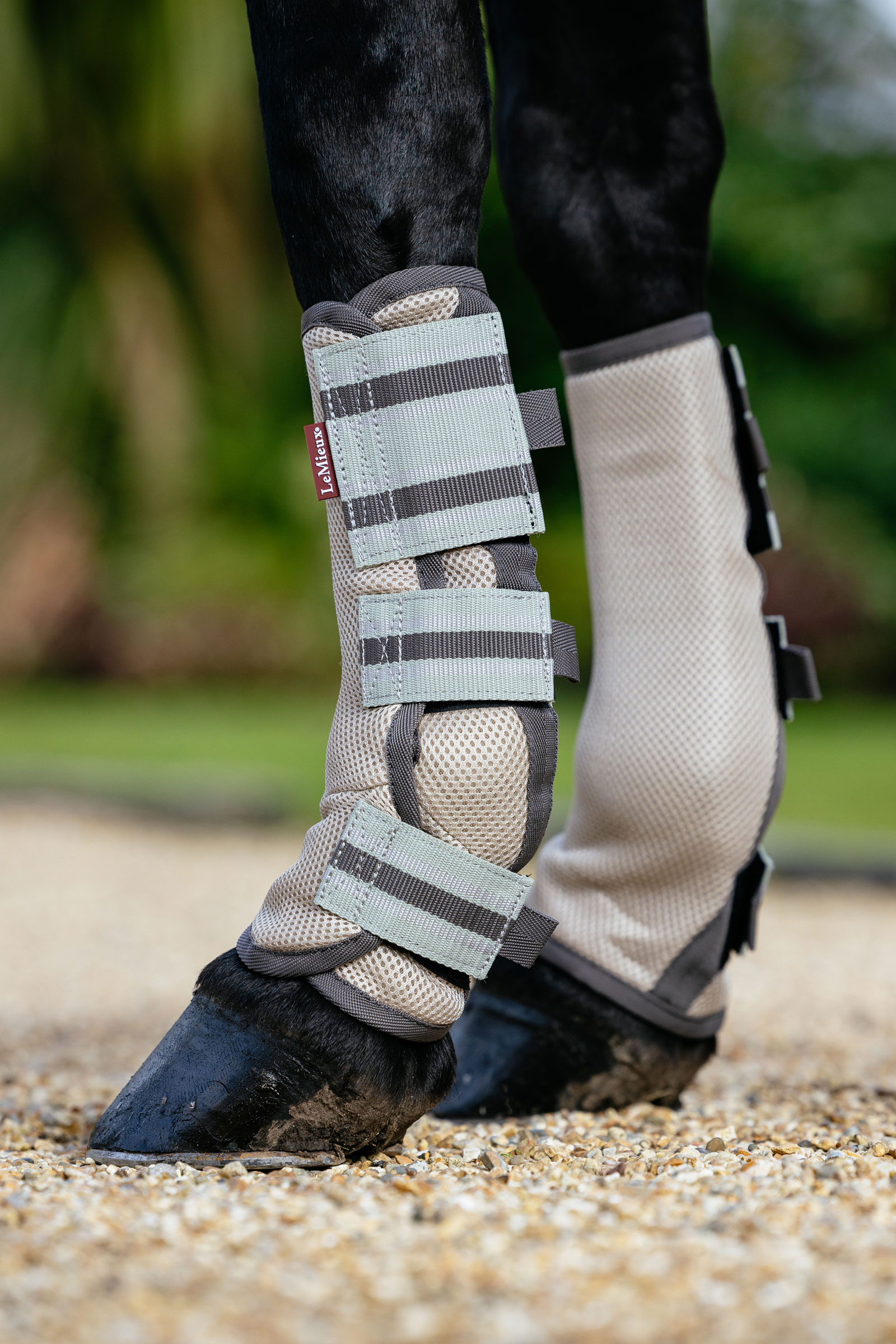 LeMieux Arika Mesh Fly Boots (Set of 4)