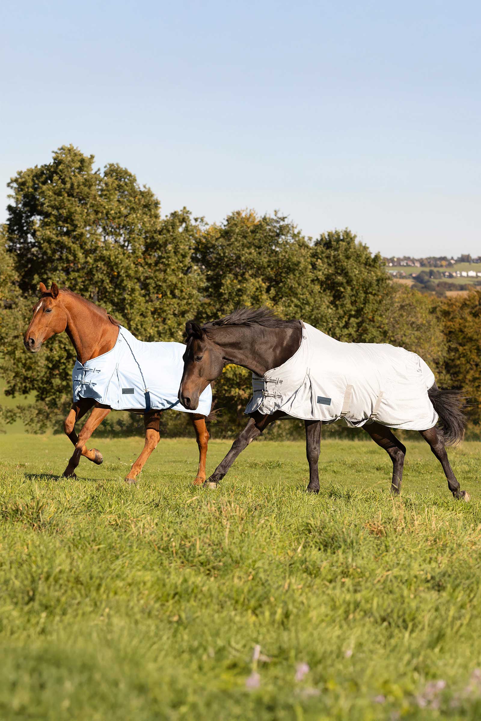 Waldhausen Protect Fly Rug