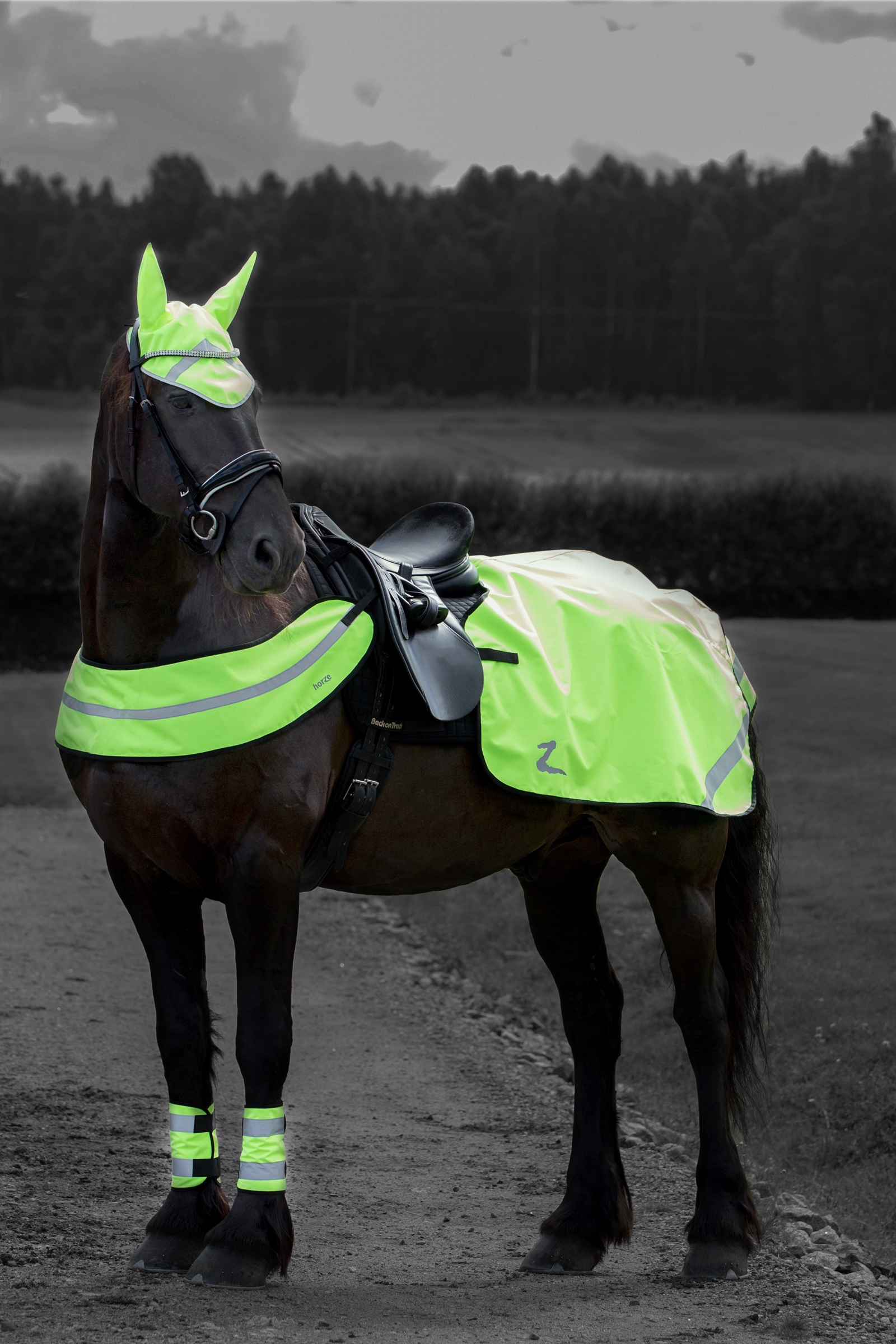 Horze Reflective Riding Blanket