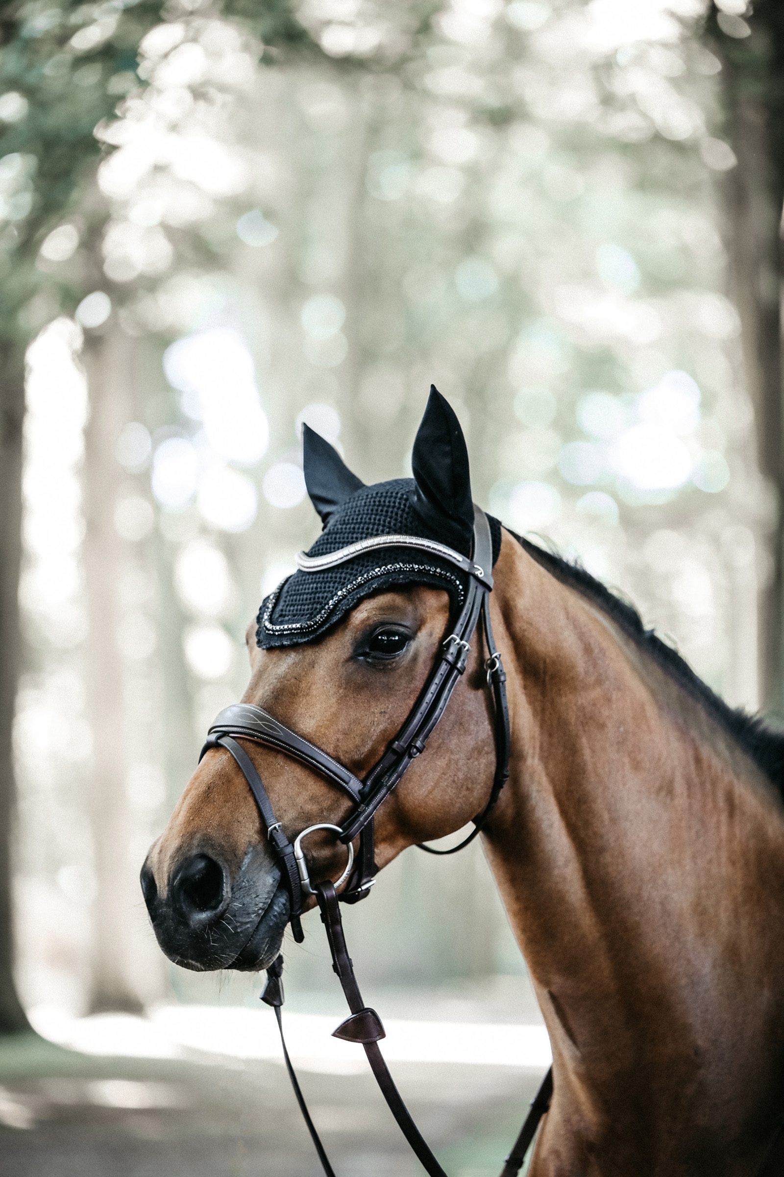 Kentucky Horsewear Fly Veil Wellington Stone & Pearl