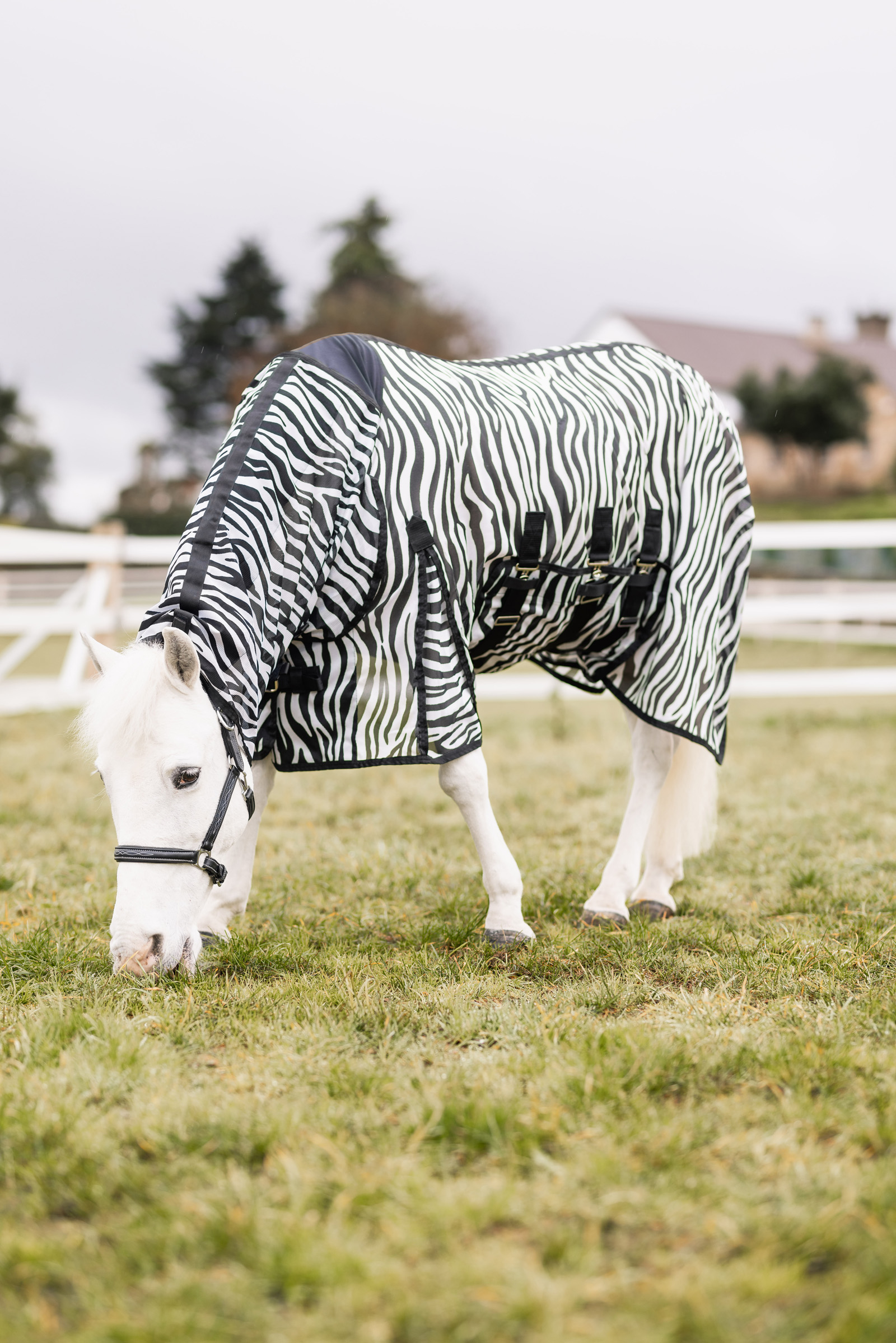 Horze Defender Pony Fly Rug