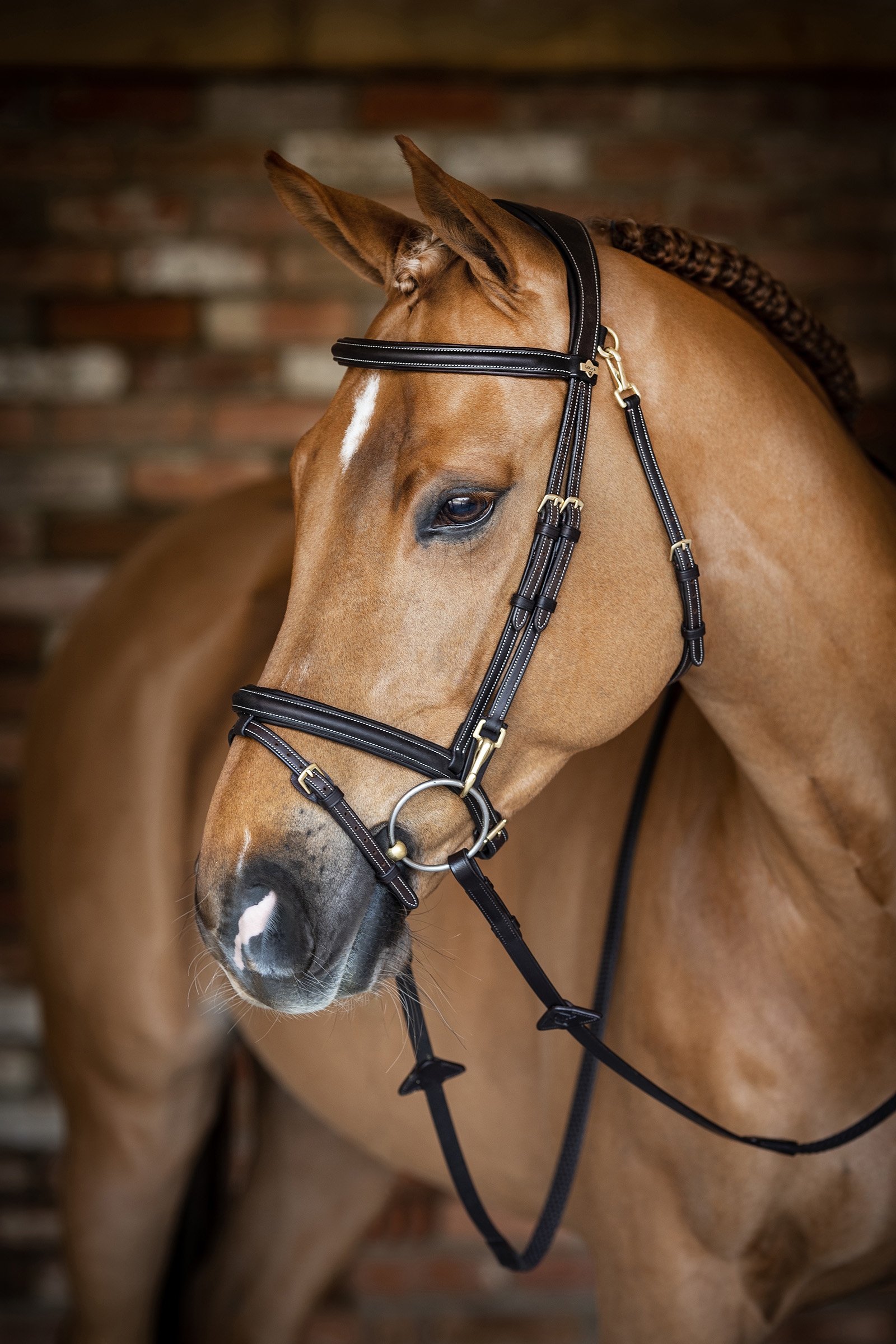Brown LeMieux Kudos Work Bridle
