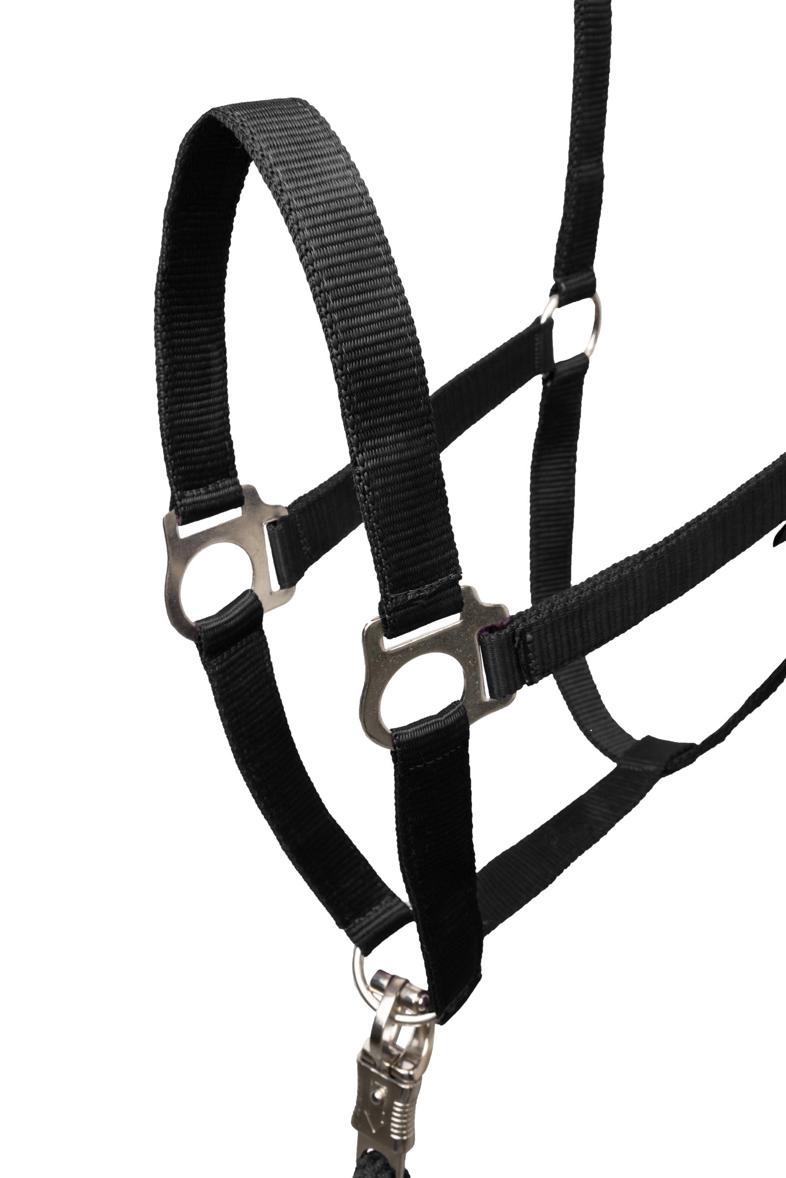 Horze Basic Halter & Panic Hook Lead