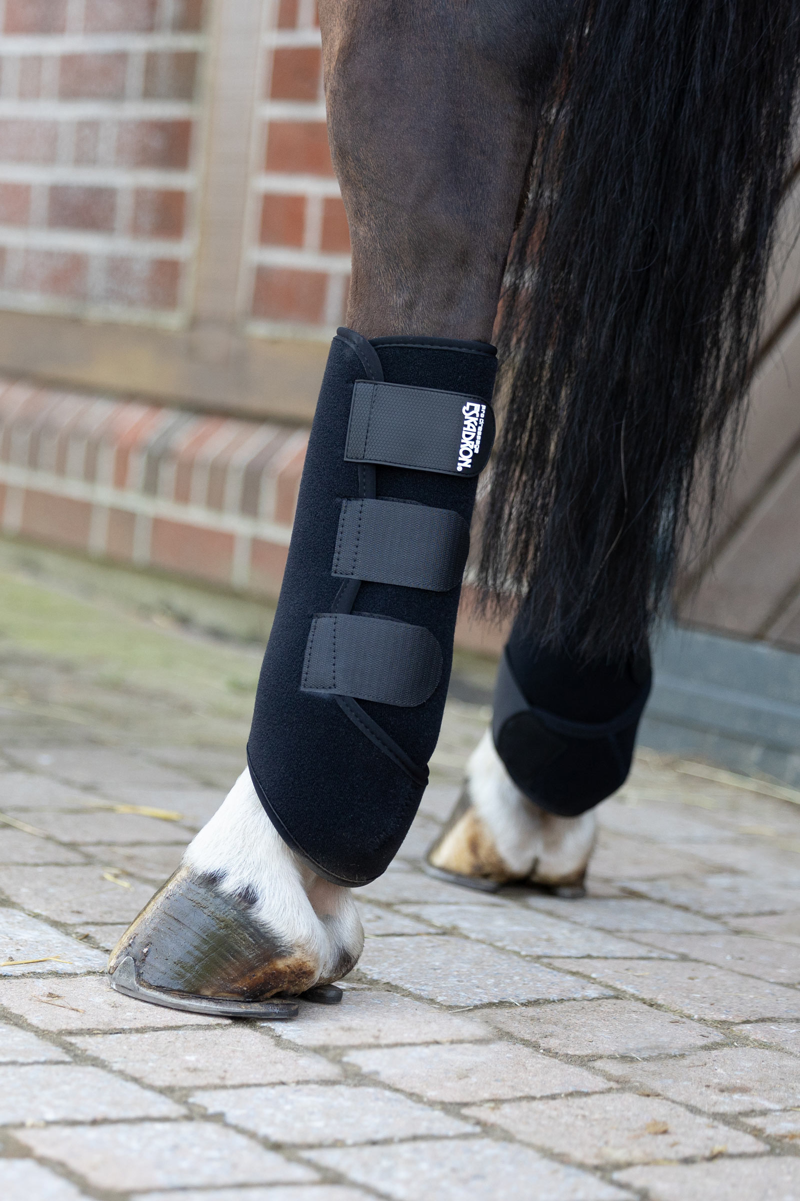 Eskadron Platinum 25 Pro Dressage Hind Tendon Boots