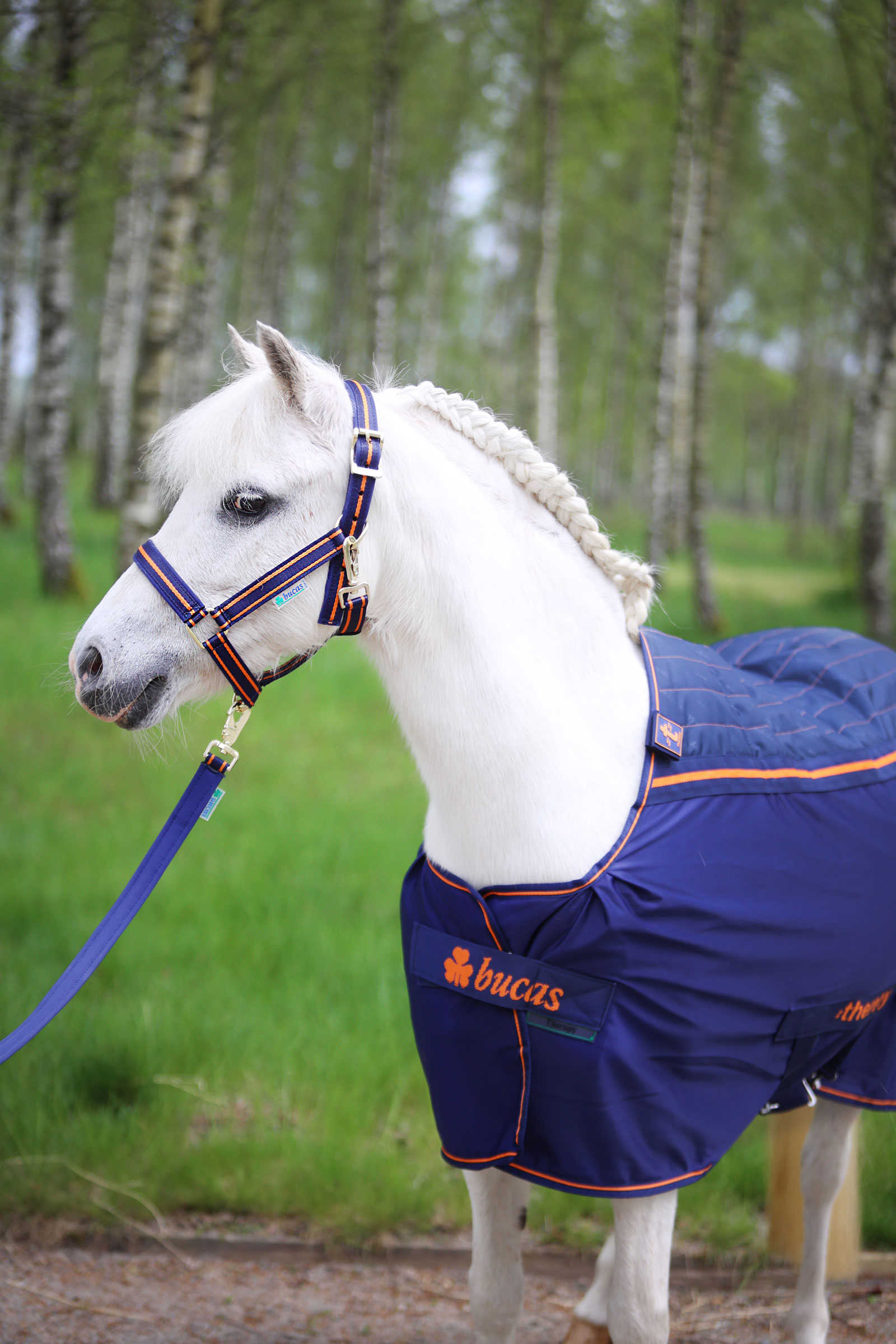 Bucas Therapy Pony Cooler Rug, 0 g