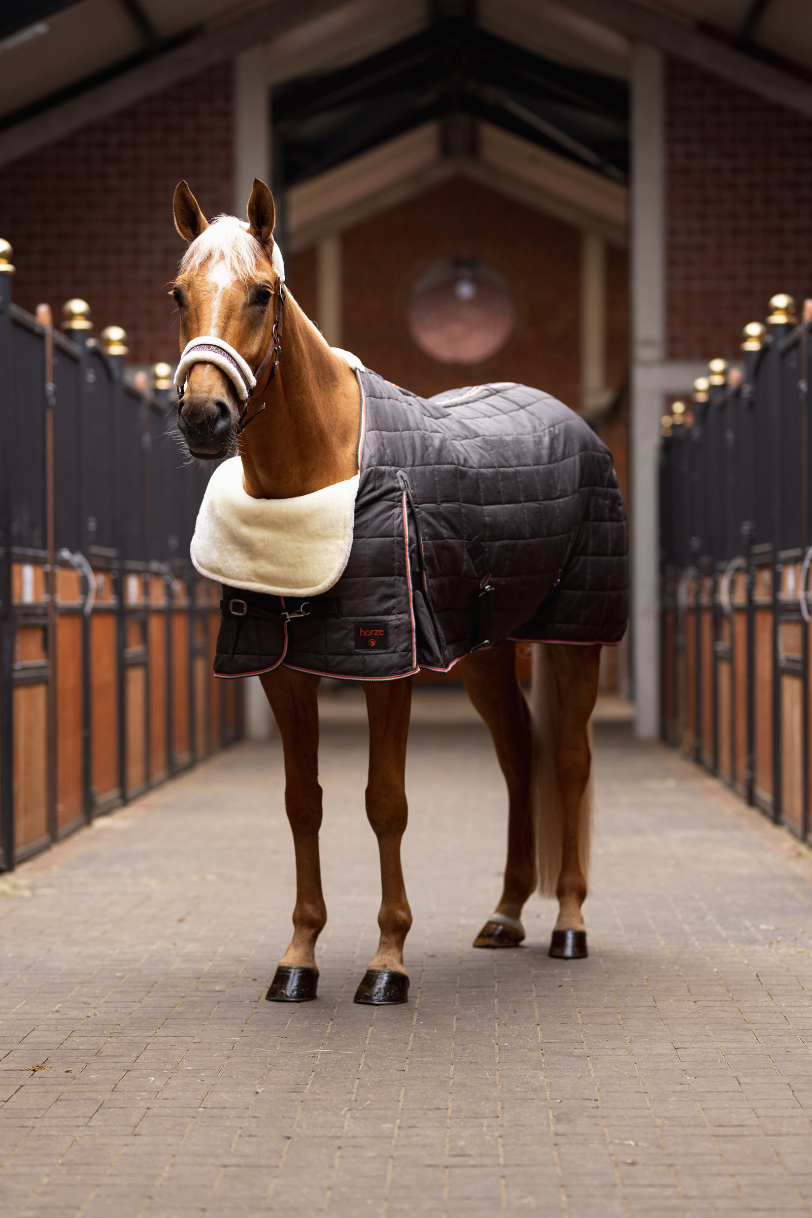 Horze Comfort Shoulder Protector