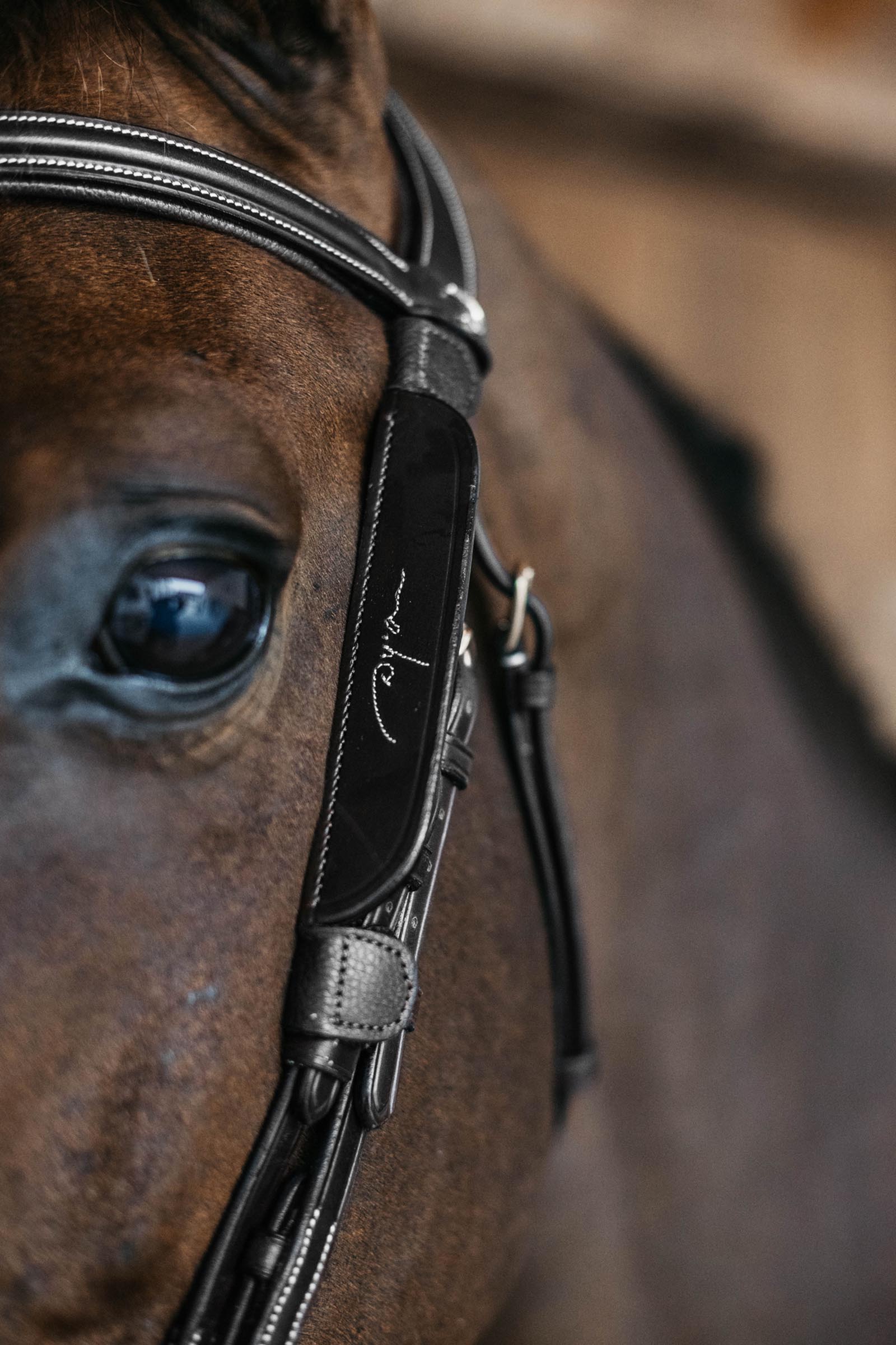 Dy'on Blinkers With Fancy Stitching