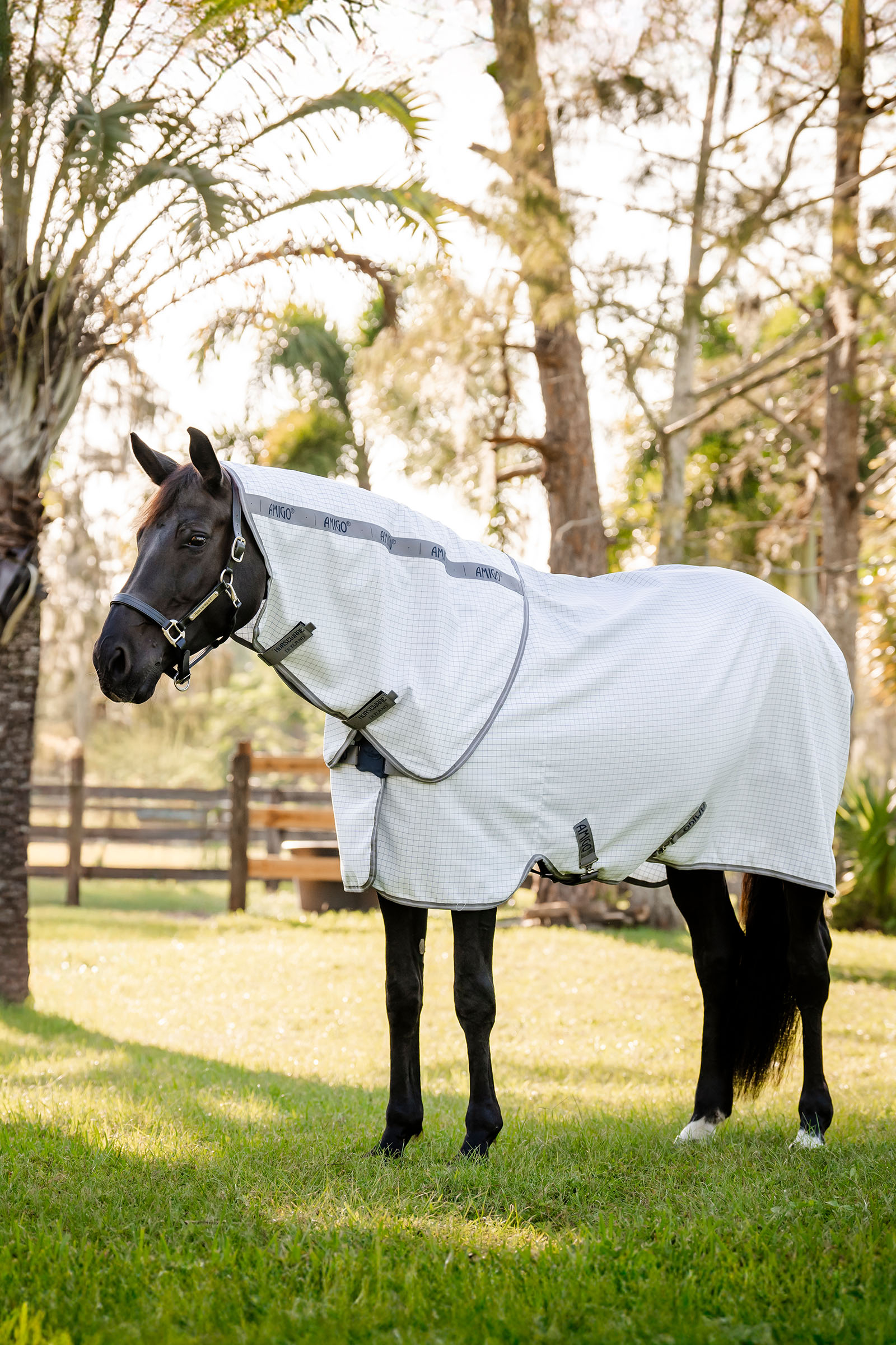 Horseware Amigo Summer Sheet Plus