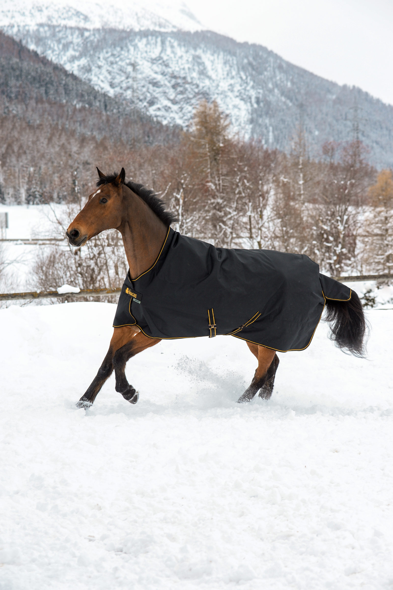 Bucas Irish Turnout Rug with High Neck, 300g