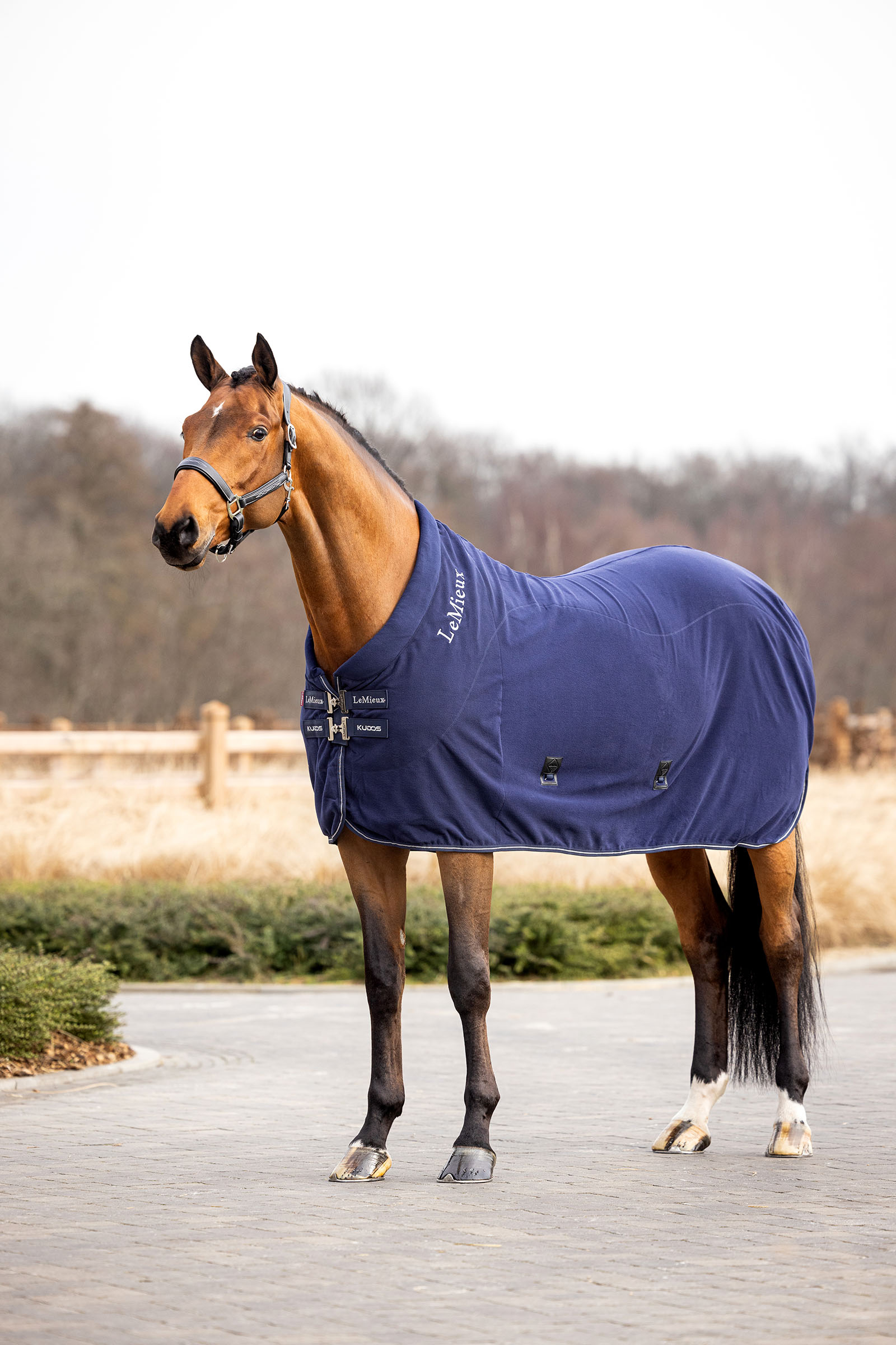 LeMieux Kudos Fleece Cooler Rug