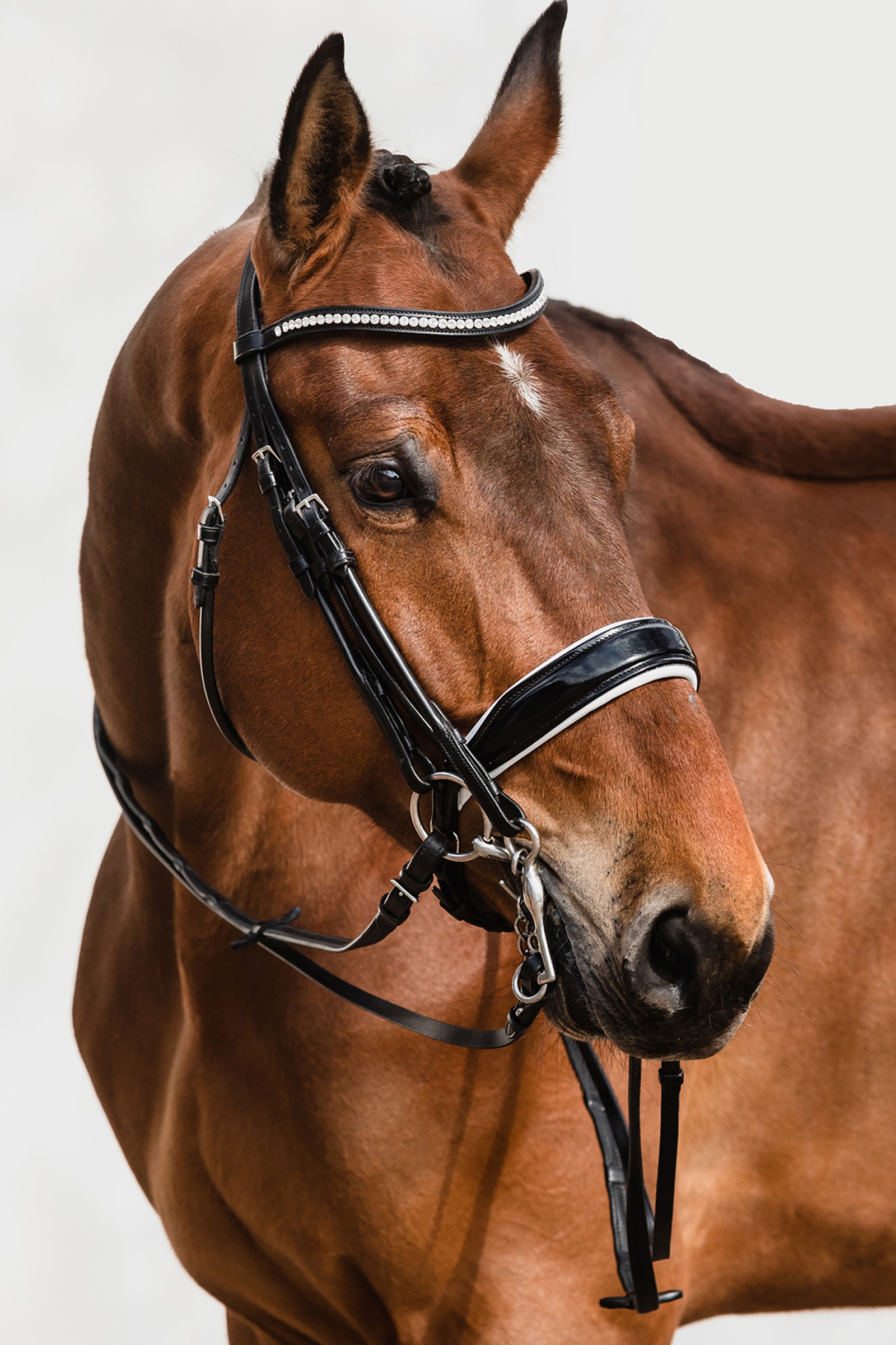 Schockem&ouml;hle Sports Venice Double Bridle