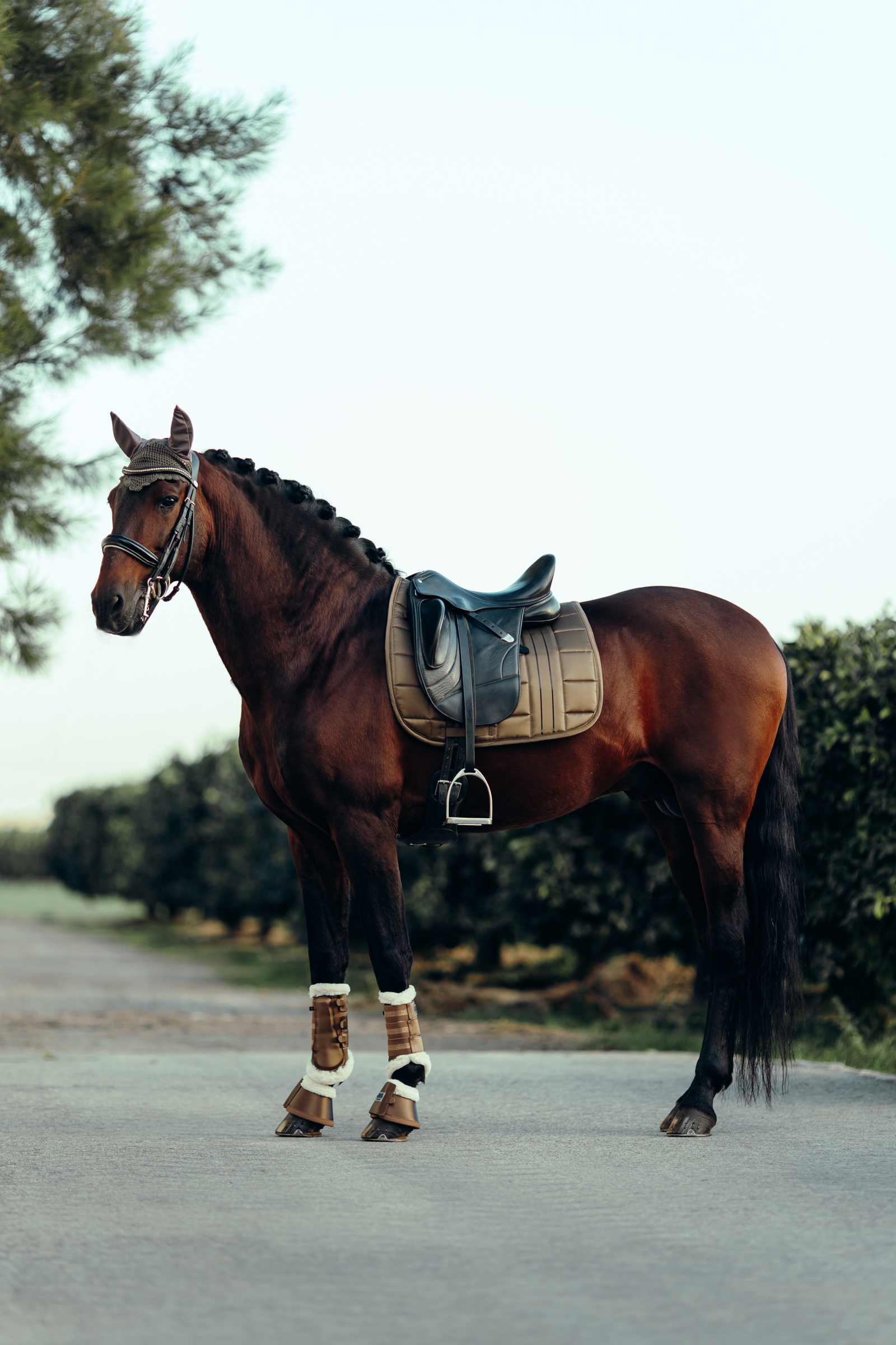 B Vertigo Drew Ear Net