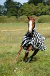 Bucas Buzz Off Zebra Fly Rug with fixed neck