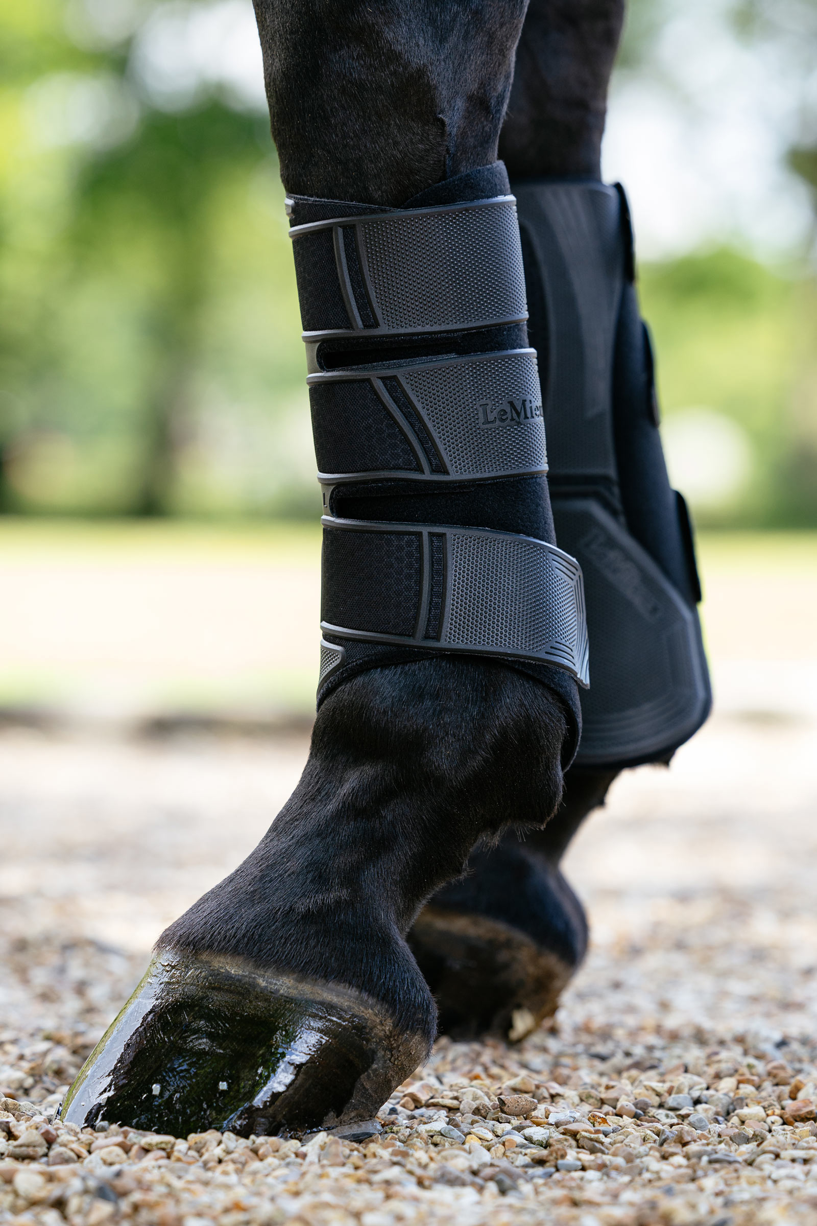 Black LeMieux Technical Brushing Boots