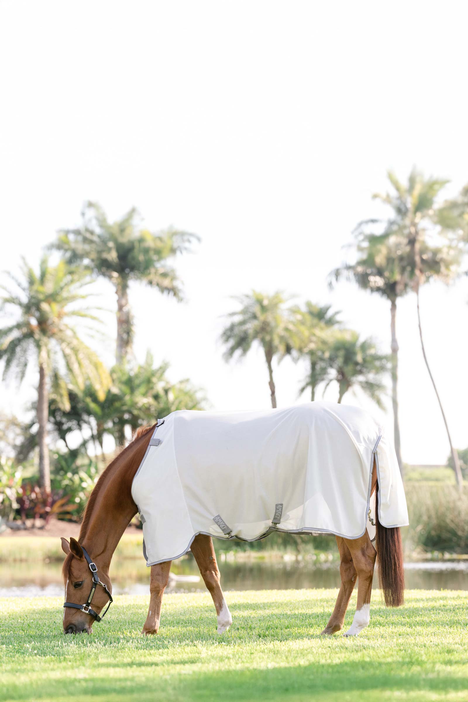 Horseware Amigo Bug Rug With UV-Protection