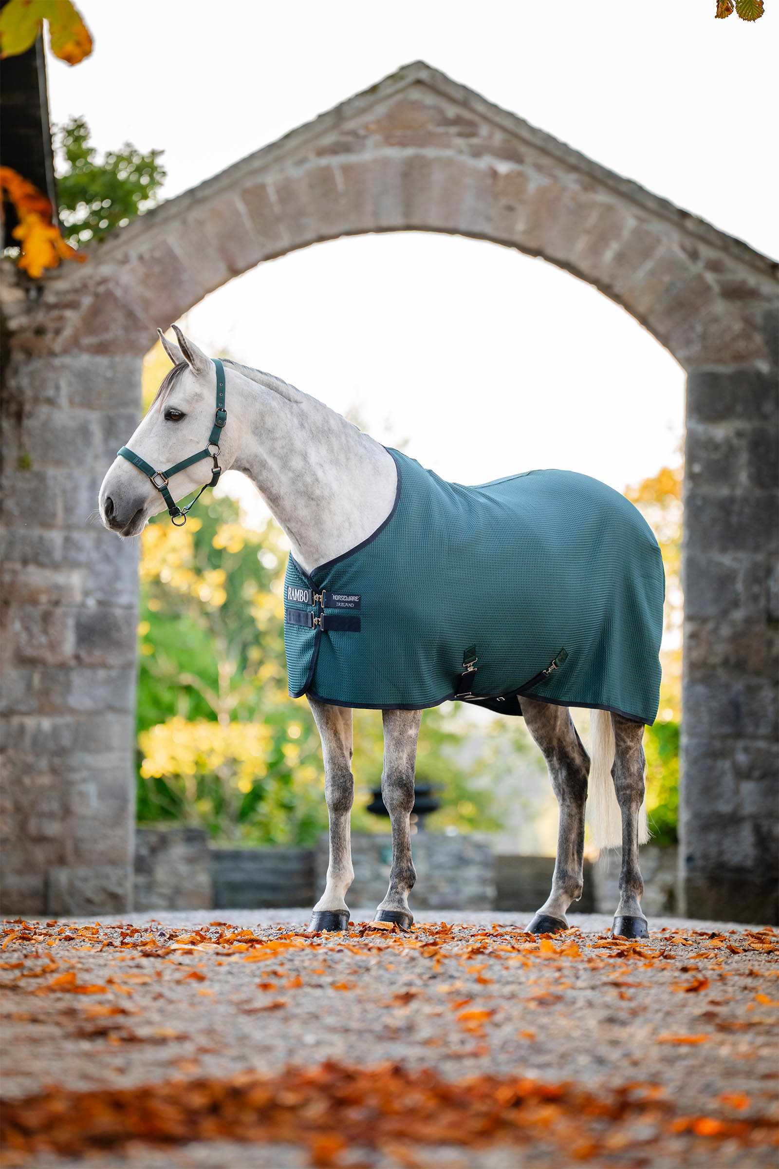 Horseware Rambo Techni Waffle Cooler