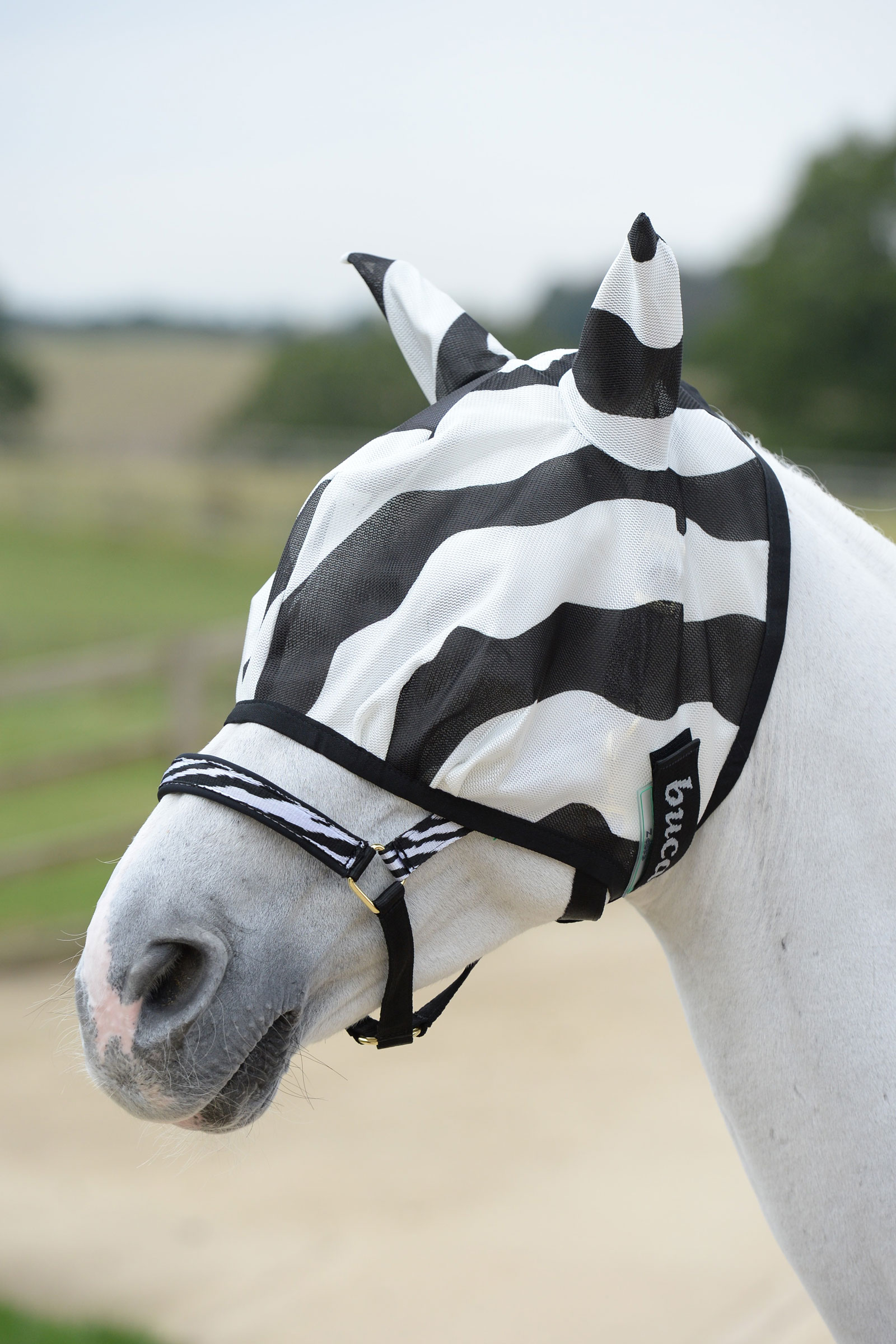 Buzz-Off Zebra Fly Mask