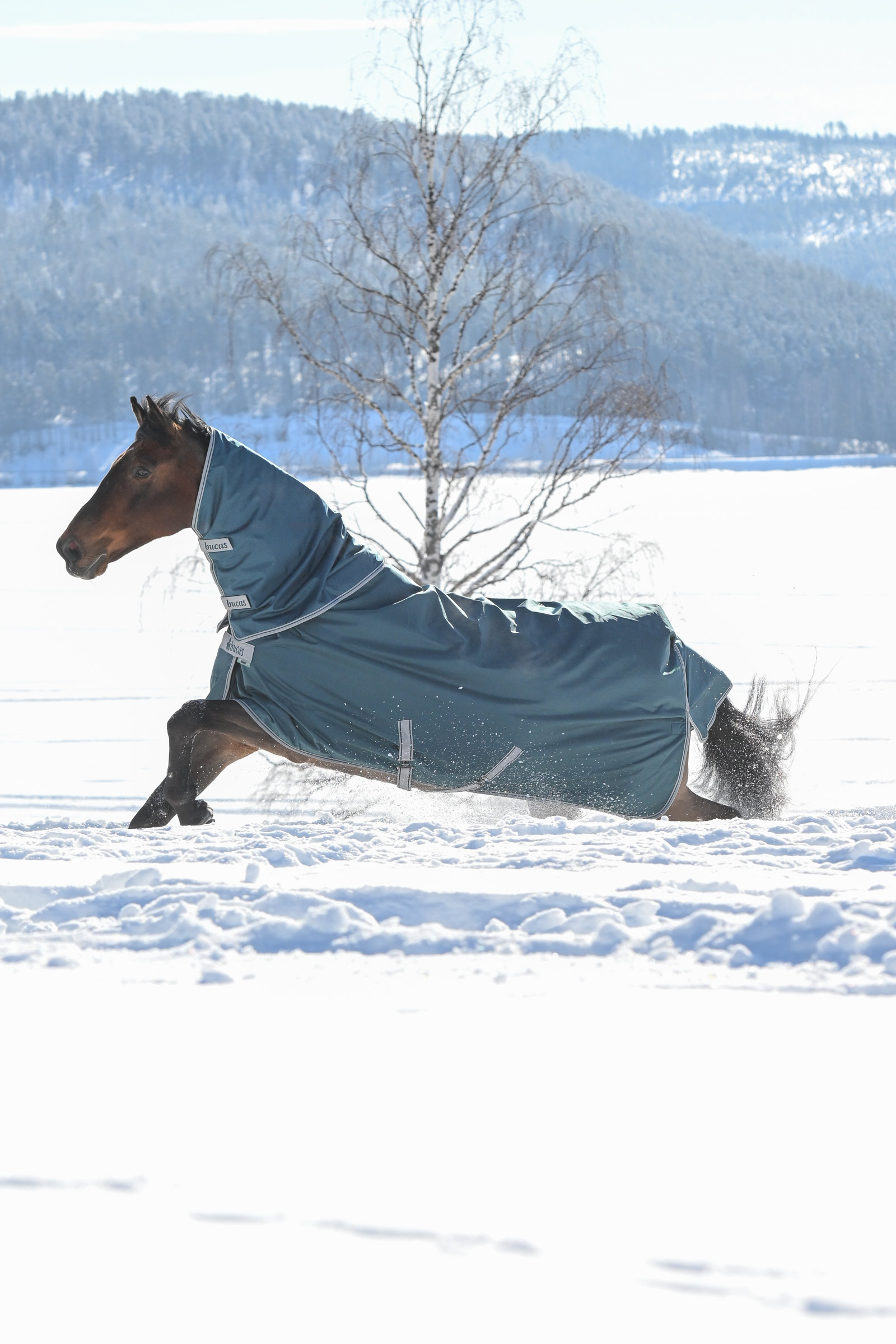 Bucas Atlantic Turnout Neck Piece, 300 g