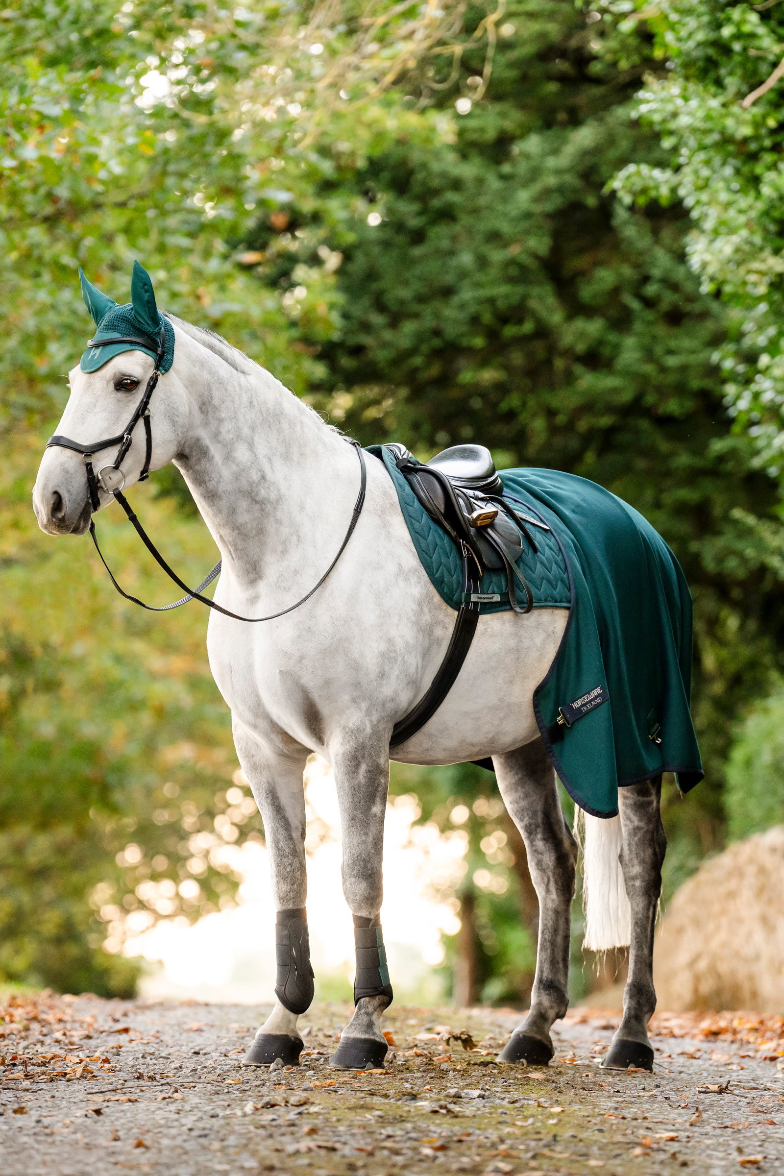 Horseware Amigo Jersey Cooler