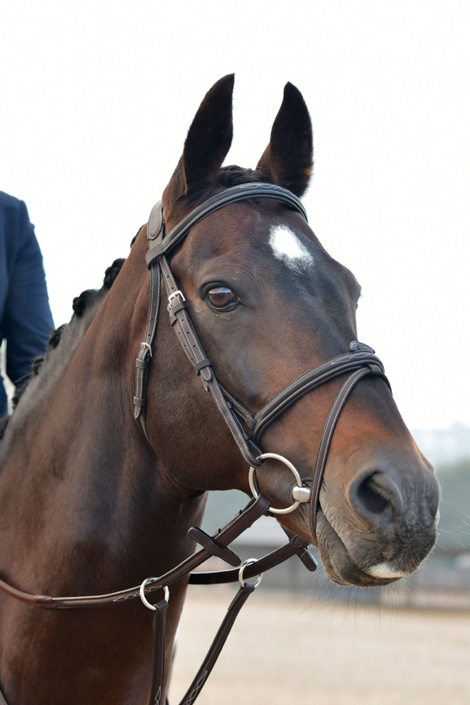 Collegiate Comfitec Opulux Fancy Stitch Padded Hanoverian Bridle