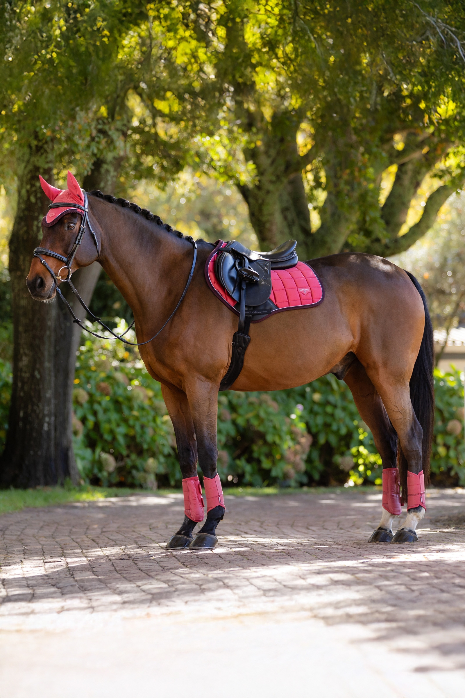LeMieux Loire Classic Square Close Contact Saddle Pad
