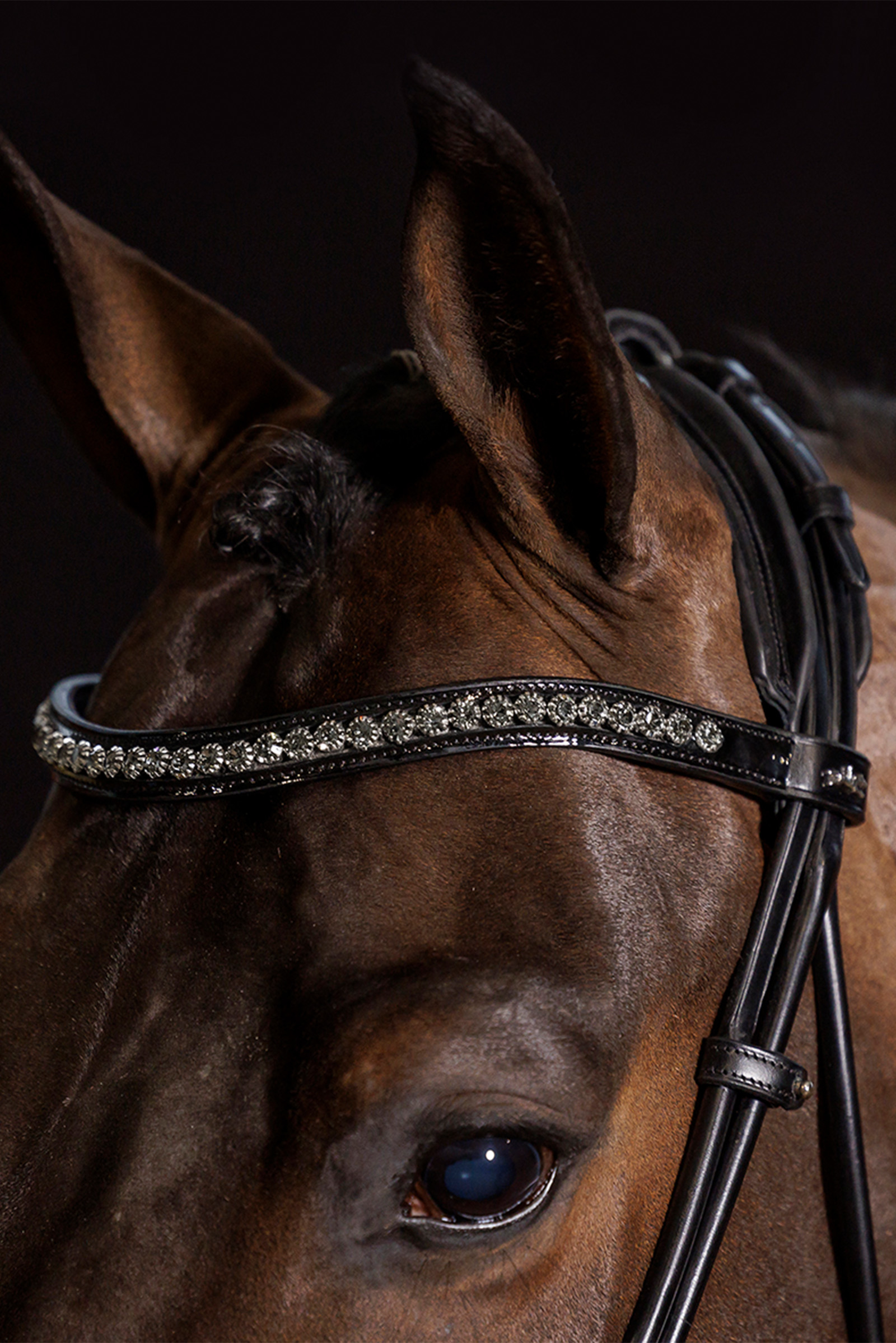 Schockem&ouml;hle Sports Westminster Bridle