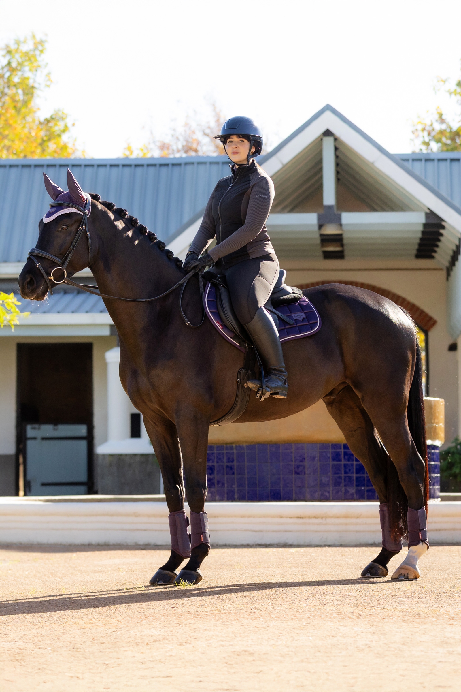 LeMieux Merino+ Loire Classic Close Contact Saddle Pad