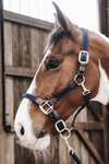 Kentucky Plaited Nylon Halter