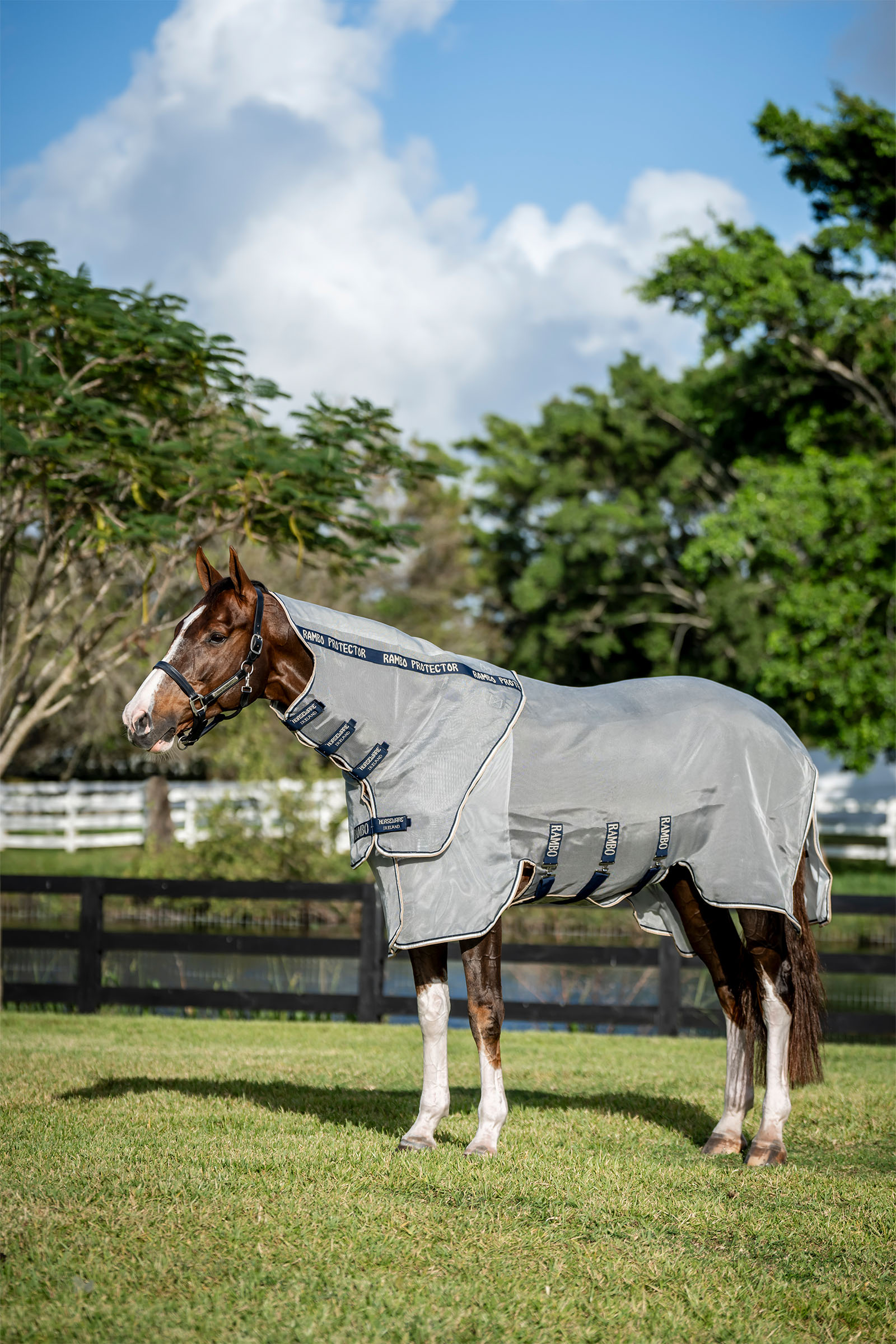 Horseware Rambo Protector Fieldsafe Plus Rug