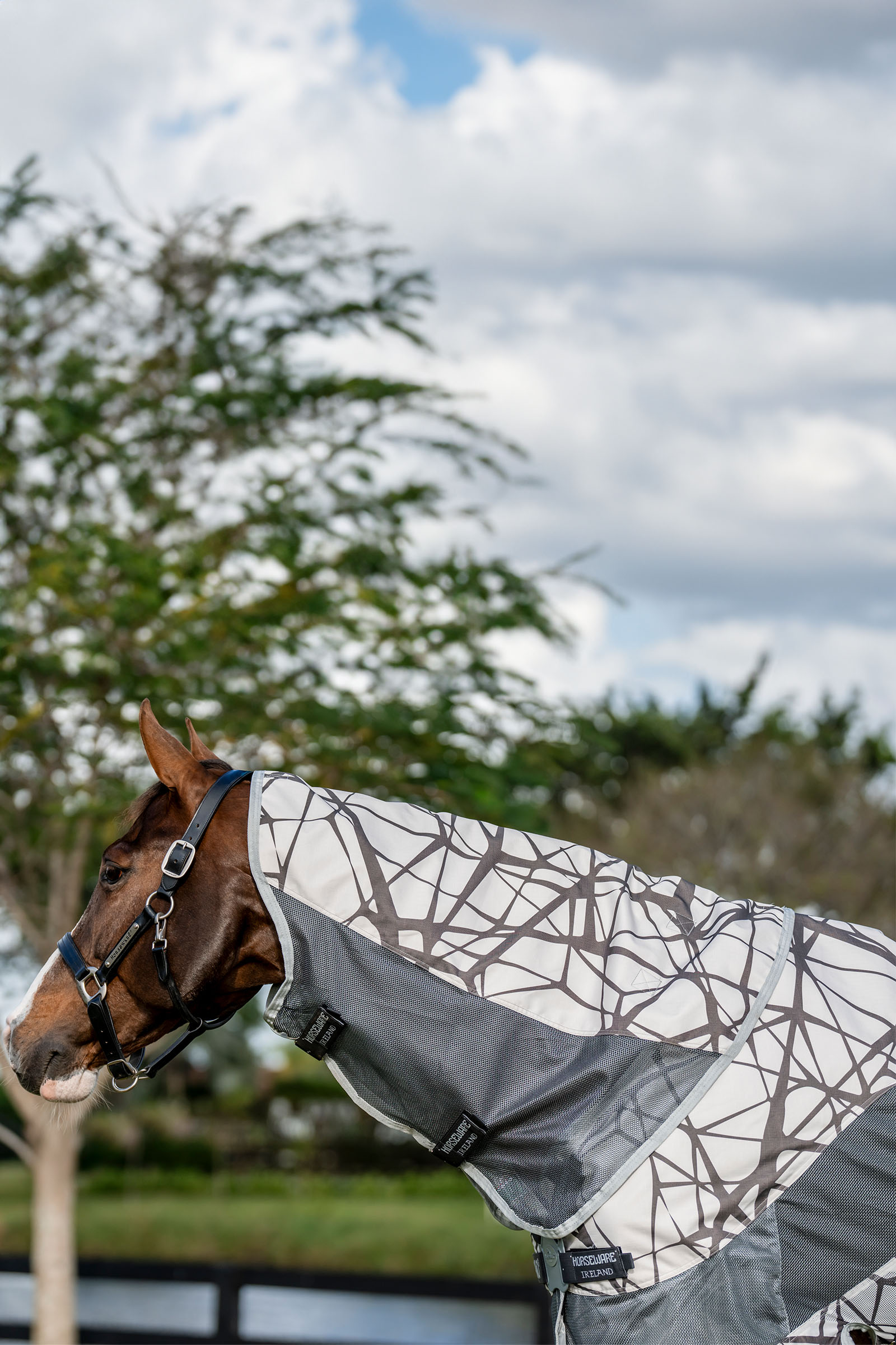 Horseware Amigo CamoFly 3-in-1 Plus