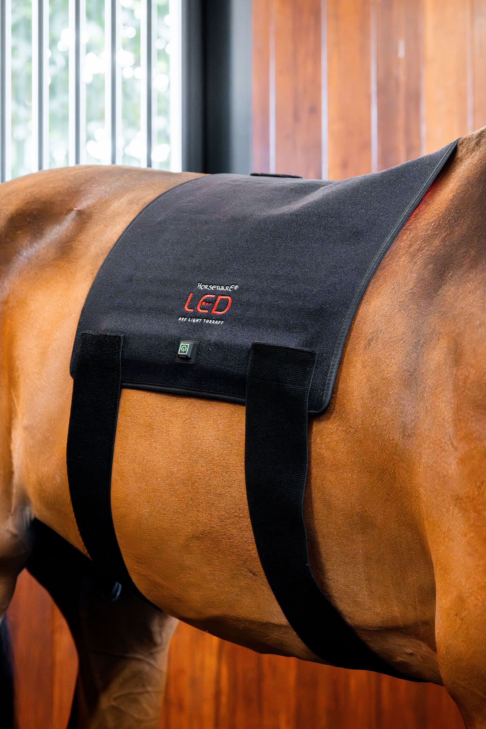 Horseware LED Red Light Therapy Pad