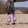 Horze Adepto Tendon Boots