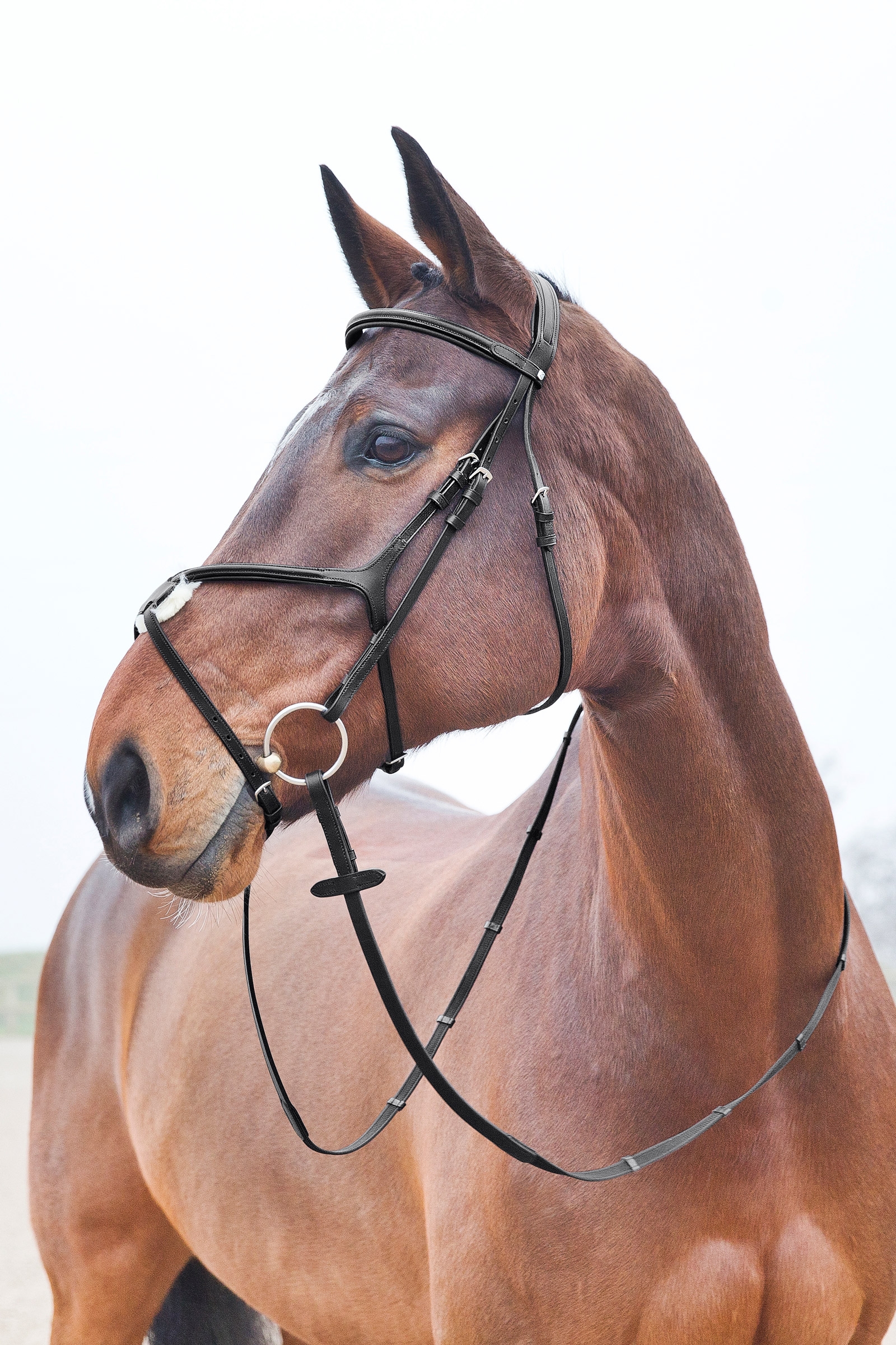 Horze Prescott Mexican Noseband Bridle