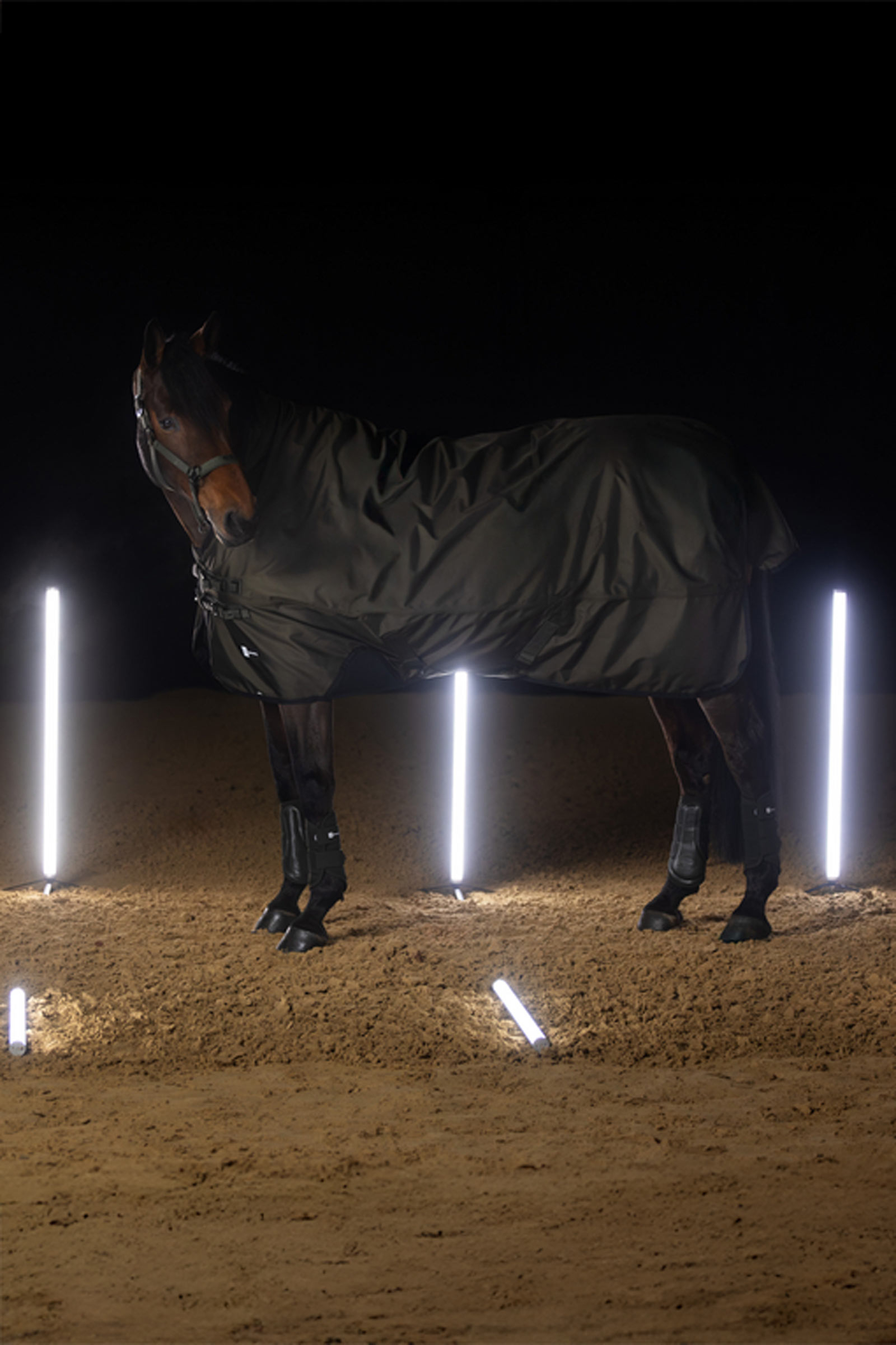 Eskadron Dynamics AW25 Beta Turnout Rug, 150 g