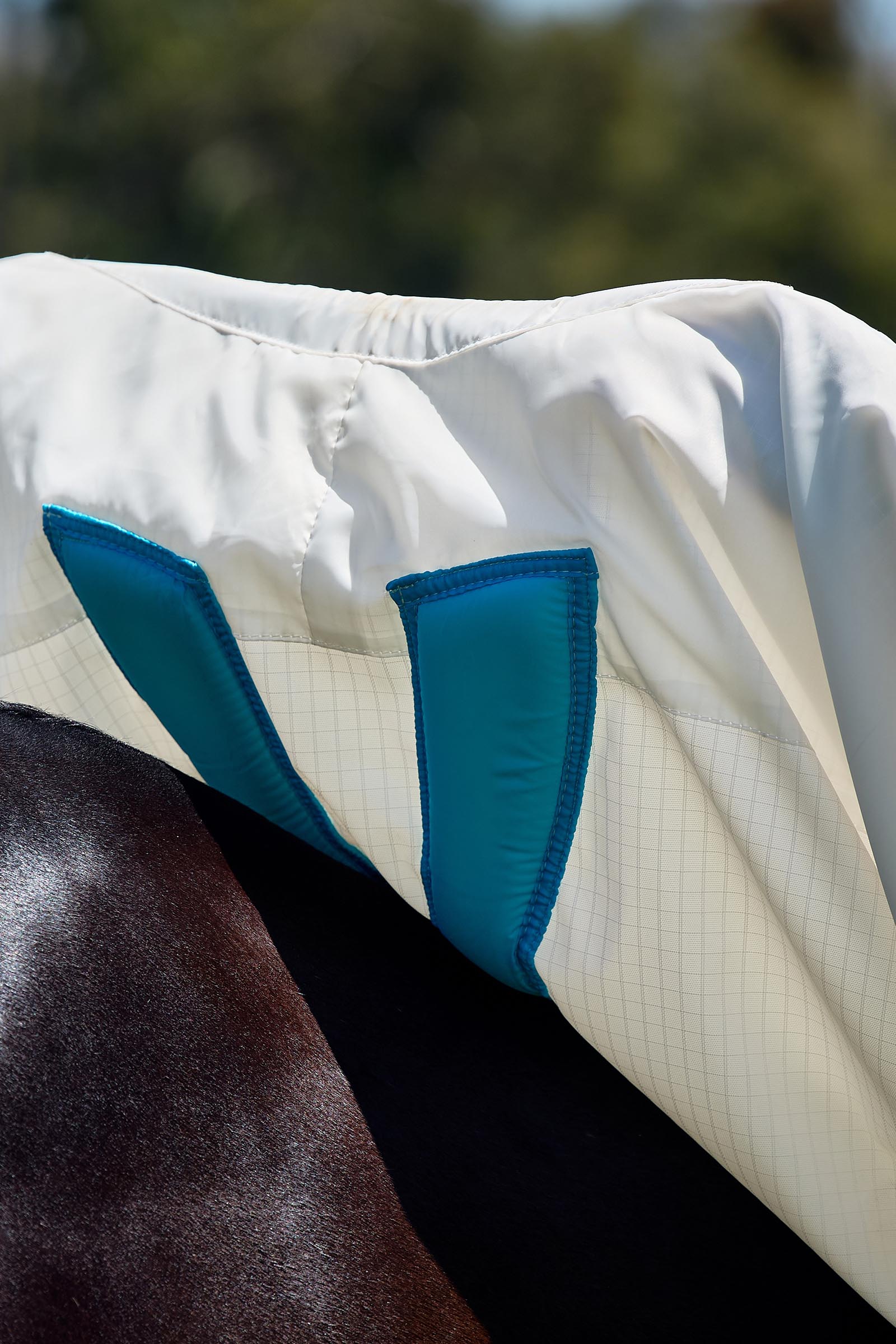 Weatherbeeta Comfitec Sweet Itch Shield Fly Sheet Combo W. Fixed Neck, 0g