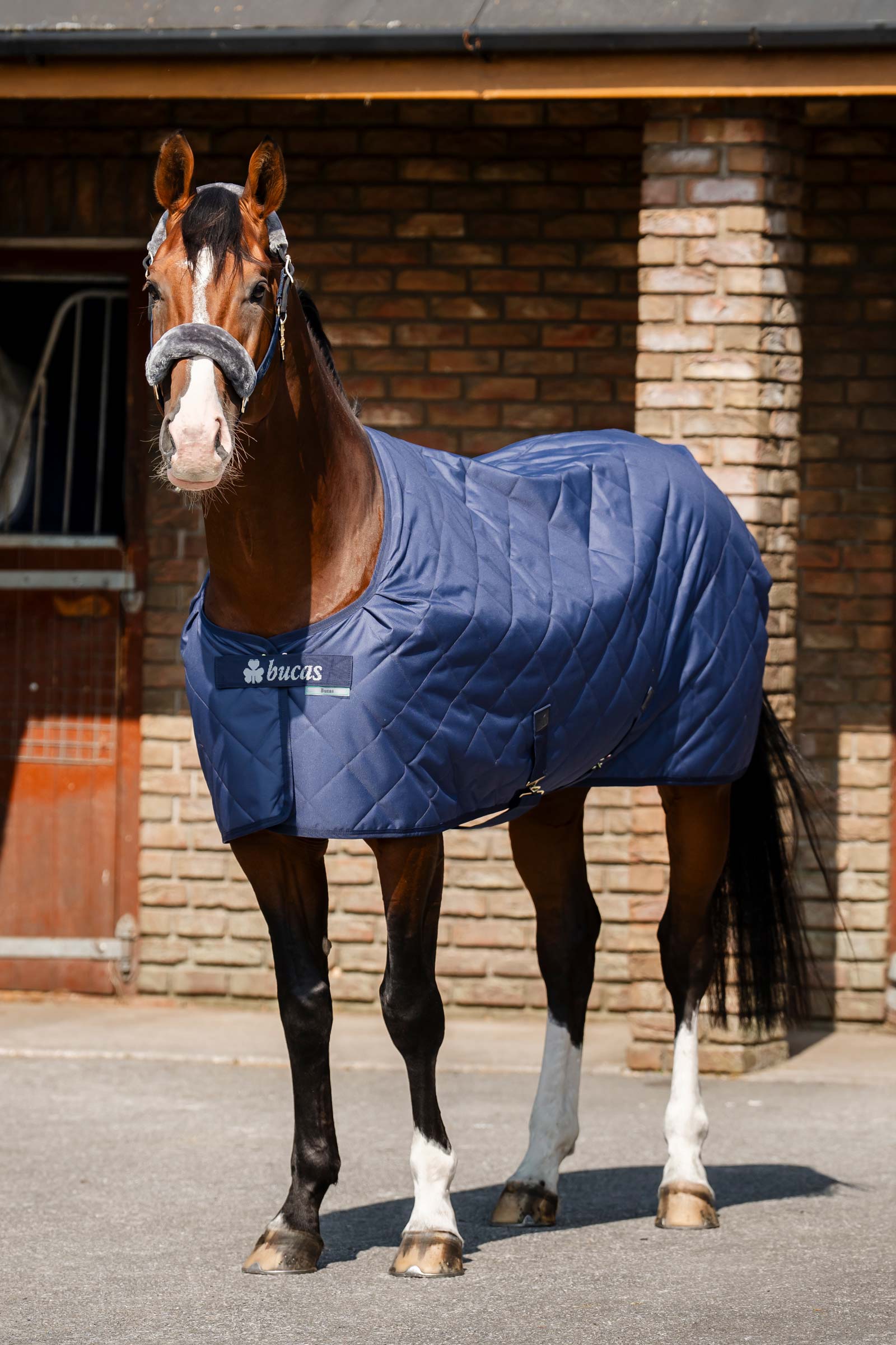 Bucas Cosy Stable Rug