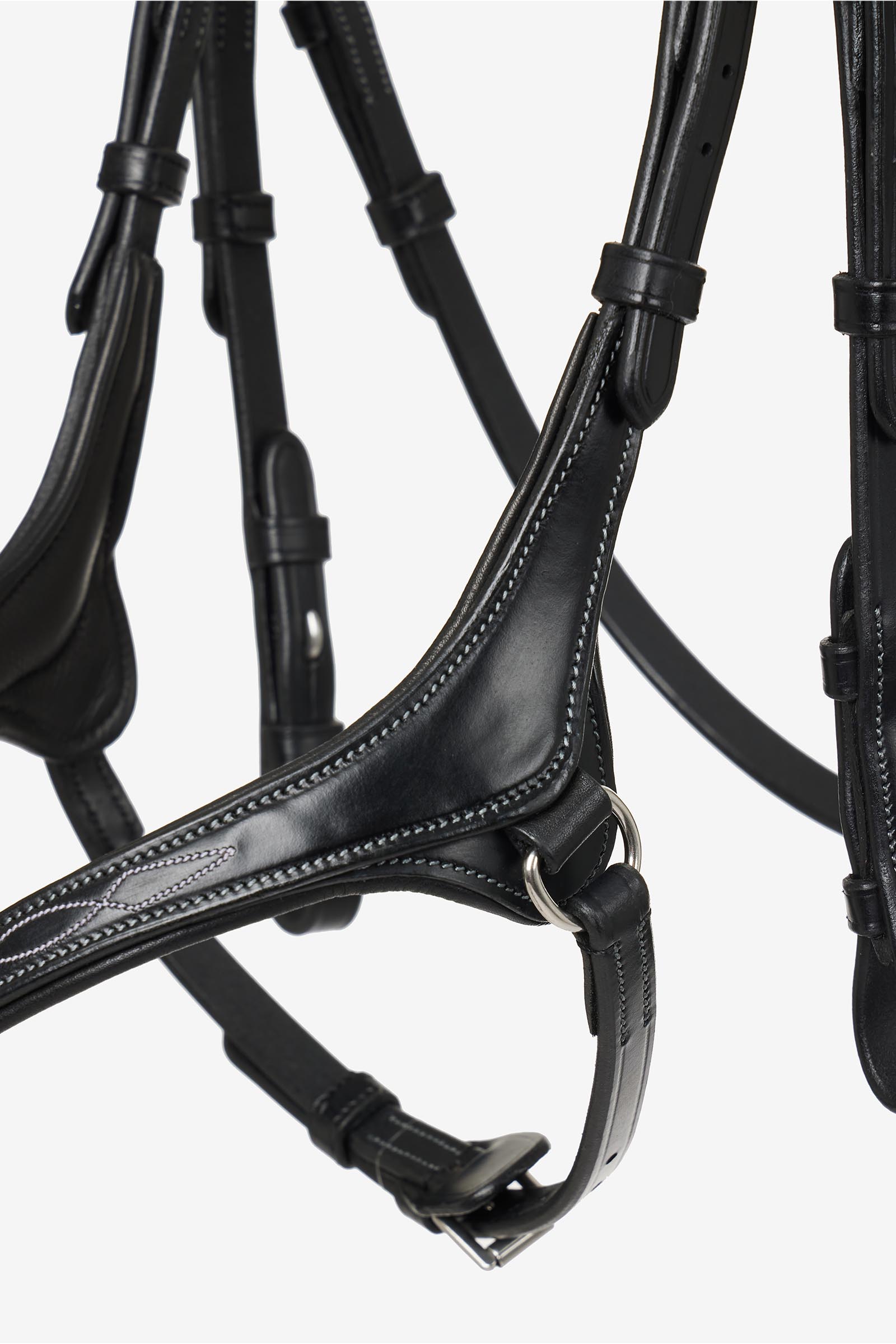 LeMieux Kudos Grackle Bridle