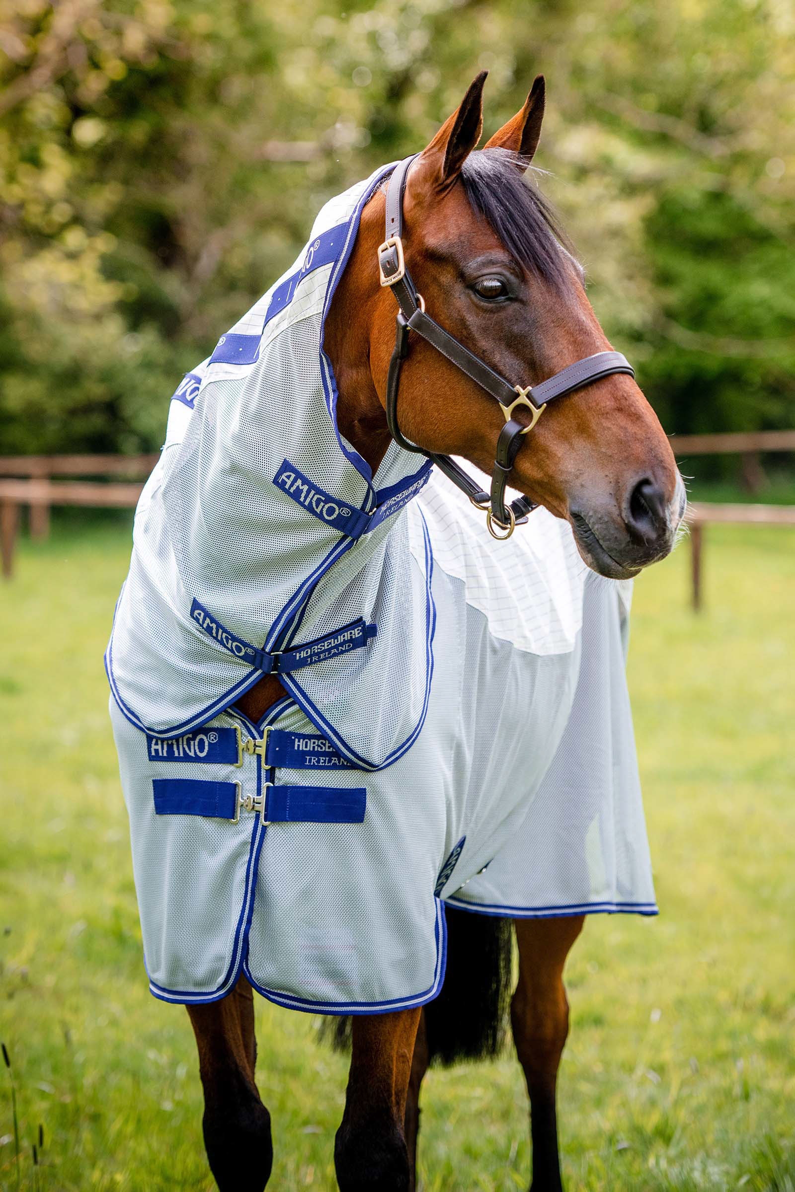 Horseware Amigo Airflow Fly Rug With Detachable Neck