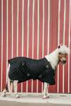 Kentucky Horsewear Stable Rug, 400g