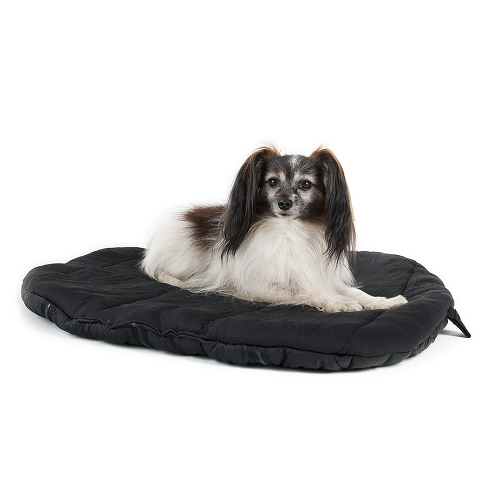 Back on Track Therapeutic Dog Bed