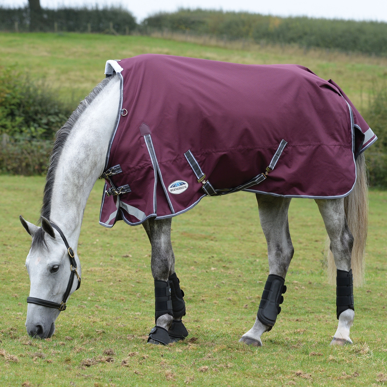 Weatherbeeta Comfitec Plus Dynamic II Standard Neck Turnout Rug, 0g