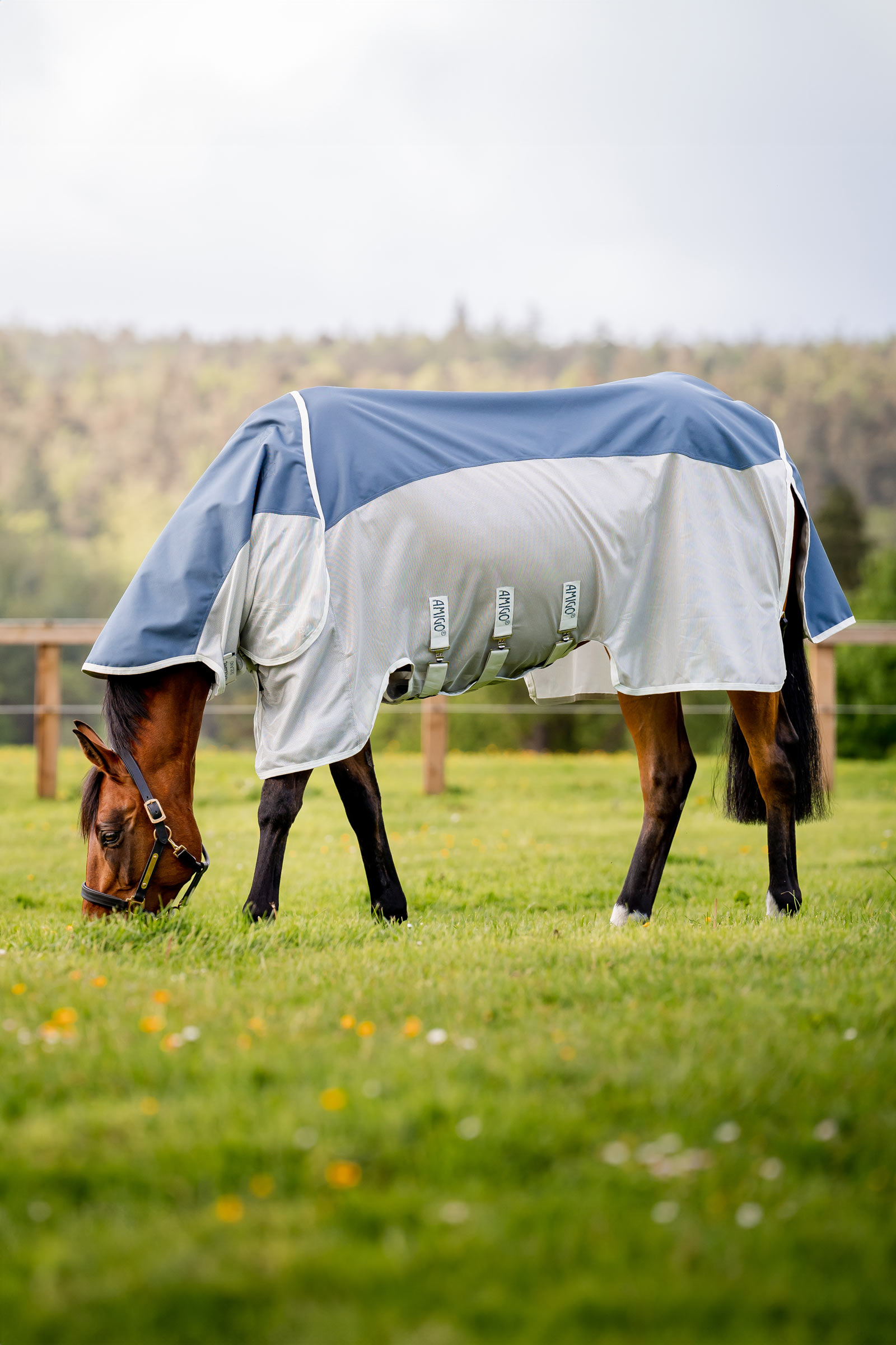 Horseware Amigo AmEco Combi Fly Rug