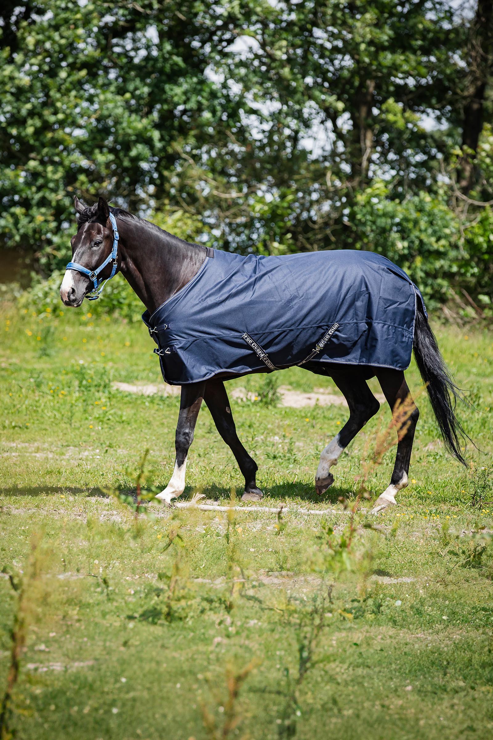 HorseGuard Landon 1200D Turnout Rug Standard Neck, 0 g